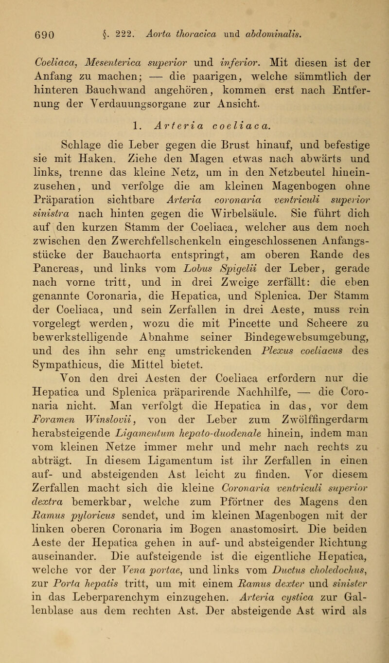 CoeUaca, Mesejiterica superior und inferior. Mit diesen ist der Anfang zu machen; — die paarigen, welche sämmtlich der hinteren Bauch wand angehören, kommen erst nach Entfer- nung der Yerdauungsorgane zur Ansicht. 1. Arteria coeliac a. Schlage die Leber gegen die Brust hinauf, und befestige sie mit Haken. Ziehe den Magen etwas nach abwärts und links, trenne das kleine iS'etz, um in den Netzbeutel hinein- zusehen, und verfolge die am kleinen Magenbogen ohne Präparation sichtbare Arteria coronaria veiitriculi superior sinistra nach hinten gegen die Wirbelsäule, Sie führt dich auf den kurzen Stamm der Coeliaca, welcher aus dem noch zwischen den Zwerchfellschenkeln eingeschlossenen Anfangs- stücke der Bauchaorta entspringt, am oberen Eande des Pancreas, und links vom Lohns Spigelii der Leber, gerade nach vorne tritt, und in drei Zweige zerfällt: die eben genannte Coronaria, die Hepatica, und Splenica. Der Stamm der Coeliaca, und sein Zerfallen in drei Aeste, muss rein vorgelegt werden, wozu die mit Pincette und Scheere zu. bewerkstelligende Abnahme seiner Bindegewebsumgebung, und des ihn sehr eng umstrickenden Plexus coeliacus des Sympathicus, die Mittel bietet. Von den drei Aesten der Coeliaca erfordern nur die Hepatica und Splenica präparirende Nachhilfe, — die Coro- naria nicht. Man verfolgt die Hepatica in das, vor dem Foramen Winslovii, von der Leber zum Zwölffingerdarm herabsteigende Ligamentum hepato-duodenale hinein, indem man vom kleinen Netze immer mehr und mehr nach rechts zu abträgt. In diesem Ligamentum ist ihr Zerfallen in einen auf- und absteigenden Ast leicht zu finden. Vor diesem Zerfallen macht sich die kleine Coronaria ventriculi superior dextra bemerkbar, welche zum Pförtner des Magens den Ramus pyloricus sendet, und im kleinen Magenbogen mit der linken oberen Coronaria im Bogen anastomosirt. Die beiden Aeste der Hepatica gehen in auf- und absteigender Richtung auseinander. Die aufsteigende ist die eigentliche Hepatica, welche vor der Vena portae, und links vom Ductus clioledochus^ zur Porta hepatis tritt, um mit einem Ramus dexter und sinister in das Leberparenchym einzugehen. Arteria cystica zur Gal- lenblase aus dem rechten Ast. Der absteigende Ast wird als 1