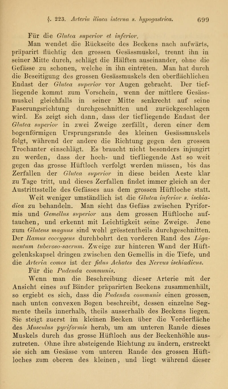 Für die Glufea superior et inferior. Man wendet die llückscitc des licckens nach aufwärts, pviiparirt Üüchtig- den grossen Gesässmuskel, trennt ihn in seiner Mitte durch, schlägt die Hälften auseinander, ohne die (Jefässe zu schonen, welche in ihn eintreten. Man hat durch die Beseitigung des grossen Gesässmuskels den oberflächlichen Endast der Glutea superior Tor Augen gebracht. Der tief- liegende kommt zum Vorschein, wenn der mittlere Gesäss- muskel gleichfalls in seiner Mitte senkrecht auf seine Faserungsrichtung durchgeschnitten und zurückgeschlagen wird. Es zeigt sich dann, dass der tiefliegende Endast der Glutea superior in zwei Zweige zerfällt, deren einer dem bogenförmigen Ursprungsrande des kleinen Gesässmuskels folgt, während der andere die Richtung gegen den grossen Trochanter einschlägt. Es- braucht nicht besonders injungirt zu werden, dass der hoch- und tiefliegende Ast so weit gegen das grosse Hüftloch verfolgt werden müssen, bis das Zerfallen der Glutea superior in diese beiden Aeste klar zu Tage tritt, und dieses Zerfallen findet immer gleich an der Austrittsstelle des Gefässes aus dem grossen Hüftloche statt. Weit weniger umständlich ist die Glutea inferior s. ischia- clica zu behandeln. Man sieht das Gefäss zwischen Pyrifor- mis und Gemellus superior aus dem grossen Hüftloche auf- tauchen, und erkennt mit Leichtigkeit seine Zweige. Jene zum Gluteus magnus sind wohl grösstentheils durchgeschnitten. Der Ramus cocnjgeus durchbohrt den vorderen Rand des Liga- mentum tuheroso-sacrum. Zweige zur hinteren Wand der Hüft- gelenkskapsel dringen zwischen den Gemellis in die Tiefe, und die Arteria comes ist der ficlus Achates des Nervus ischiadicus. Für die Pudenda communis. Wenn man die Beschreibung dieser Arterie mit der Ansicht eines auf Bänder präparirten Beckens zusammenhält, so ergiebt es sich, dass die Pudenda communis einen grossen, nach unten convexen Bogen beschreibt, dessen einzelne Seg- mente theils innerhalb, theils ausserhalb des Beckens liegen. Sie steigt zuerst im kleinen Becken über die Yorderfläche des Musculus pyriformis herab, um am unteren Rande dieses Muskels durch das grosse Hüftloch aus der Beckenhöhle aus- zutreten. Ohne ihre absteigende Richtung zu ändern, erstreckt sie sich am Gesässe vom unteren Rande des grossen Hüft- loches zum oberen des kleinen, und liegt während dieser