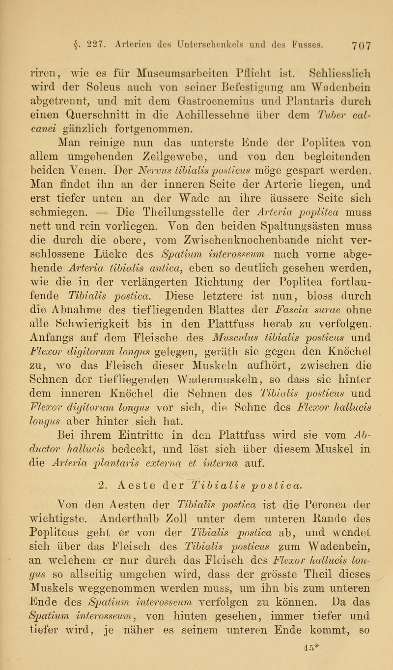 riren, wie es für Musoumsarbeiten Pflicht ist. Schliesslich wird der Soleiis auch von seiner Befestigung am Wadenbein abgetrennt, und mit dem Gastrocnemius und Plantaris durch einen Querschnitt in die Achillessehne über dem Taher cal- canei gänzlich fortgenommen. Man reinige nun das unterste Ende der Poplitea von allem umgebenden Zellgewebe, und von den begleitenden beiden Yenen. Der Nervus WnalisposUcus möge gespart werden. Man findet ihn an der inneren Seite der Arterie liegen, und erst tiefer unten an der Wade an ihre äussere Seite sich schmiegen. — Die Theilungsstelle der Arteria poplitea muss nett und rein vorliegen. Von den beiden Spaltungsästen muss die durch die obere, vom Zwischenknochenbande nicht ver- schlossene Lücke des Spatium interosseum nach vorne abge- hende Arteria tibialis antica, eben so deutlich gesehen werden, wie die in der verlängerten Richtung der Poplitea fortlau- fende Tibialis postica. Diese letztere ist nun, bloss durch die Abnahme des tiefliegenden Blattes der Fascia surae ohne alle Schwierigkeit bis in den Plattfuss herab zu verfolgen. Anfangs auf dem Fleische des Musculus tibialis posticus und Flexor digitorum longus gelegen, geräth sie gegen den Knöchel zu, wo das Fleisch dieser Muskeln aufhört, zwischen die Sehnen der tiefliegenden Wadenmuskeln, so dass sie hinter dem inneren Knöchel die Sehnen des Tibialis posticus und Flexor digitorum longus vor sich, die Sehne des Flexor hallucis longus aber hinter sich hat. Bei ihrem Eintritte in den Plattfuss wird sie vom Ab- ductor hallucis bedeckt, und löst sich über diesem Muskel in die Arteria plantcuis externa et interna auf. 2. Aeste der Tibialis postica. Von den Aesten der Tibialis postica ist die Peronea der wichtigste. Anderthalb Zoll unter dem unteren Rande des Popliteus geht er von der Tibialis postica ab, und wendet sich über das Fleisch des Tibialis posticus zum Wadenbein, an welchem er nur durch das Fleisch des Flexor hallucis lon- gus so allseitig umgeben wird, dass der grösste Theil dieses Muskels weggenommen werden muss, um ihn bis zum unteren Ende des Spatiu7n interosseum verfolgen zu können. Da das Spatium. interosseum, von hinten gesehen, immer tiefer und tiefer wird, je näher es seinem unteren Ende kommt, so 45*