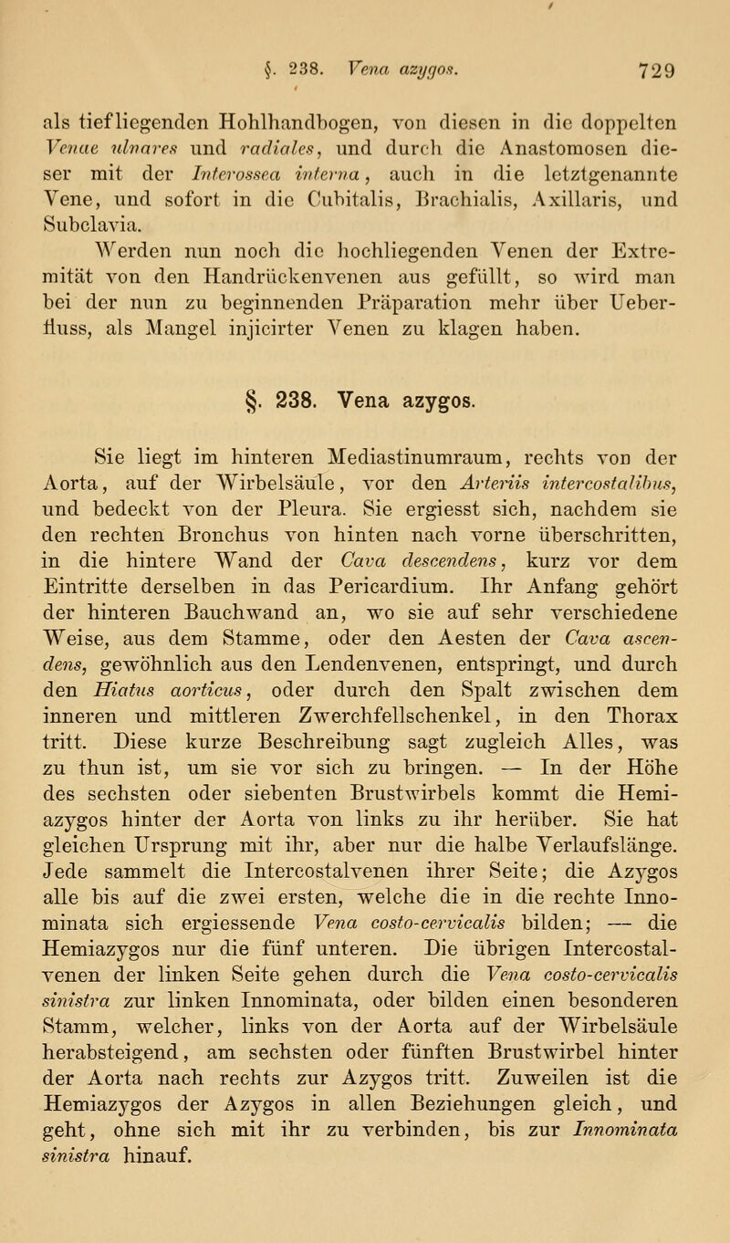 als tiefliegenden Hohlhandbogen, von diesen in die doppelten Veriat uhmres und radiales, und durcli die Anastomosen die- ser mit der Inferossea interna, auch in die letztgenannte Vene, und sofort in die Cubitalis, Brachialis, Axillaris, und Subclavia. Werden nun noch die hochliegenden Venen der Extre- mität von den Handrückenvenen aus gefüllt, so wird man bei der nun zu beginnenden Präparation mehr über Ueber- liuss, als Mangel injicirter Venen zu klagen haben. §. 238. Vena azygos. Sie liegt im hinteren Mediastinumraum, rechts von der Aorta, auf der Wirbelsäule, vor den Arteriis intercostalibus, und bedeckt A^on der Pleura. Sie ergiesst sich, nachdem sie den rechten Bronchus von hinten nach vorne überschritten, in die hintere Wand der Cava descendens, kurz vor dem Eintritte derselben in das Pericardium. Ihr Anfang gehört der hinteren Bauchwand an, wo sie auf sehr verschiedene Weise, aus dem Stamme, oder den Aesten der Cava ascen- dens, gewöhnlich aus den Lendenvenen, entspringt, und durch den Hiatus aorticus, oder durch den Spalt zwischen dem inneren und mittleren Zwerchfellschenkel, in den Thorax tritt. Diese kurze Beschreibung sagt zugleich Alles, was zu thun ist, um sie vor sich zu bringen. — In der Höhe des sechsten oder siebenten Brustwirbels kommt die Hemi- azygos hinter der Aorta von links zu ihr herüber. Sie hat gleichen Ursprung mit ihr, aber nur die halbe Verlaufslänge. Jede sammelt die Intercostalvenen ihrer Seite; die Azygos alle bis auf die zwei ersten, welche die in die rechte Inno- minata sich ergiessende Veiia costo-cervicalis bilden; — die Hemiazygos nur die fünf unteren. Die übrigen Intercostal- venen der linken Seite gehen durch die Vena costo-cervicalis sinistra zur linken Innominata, oder bilden einen besonderen Stamm, welcher, links von der Aorta auf der Wirbelsäule herabsteigend, am sechsten oder fünften Brustwirbel hinter der Aorta nach rechts zur Azygos tritt. Zuweilen ist die Hemiazygos der Azygos in allen Beziehungen gleich, und geht, ohne sich mit ihr zu verbinden, bis zur Innominata sinistra hinauf.