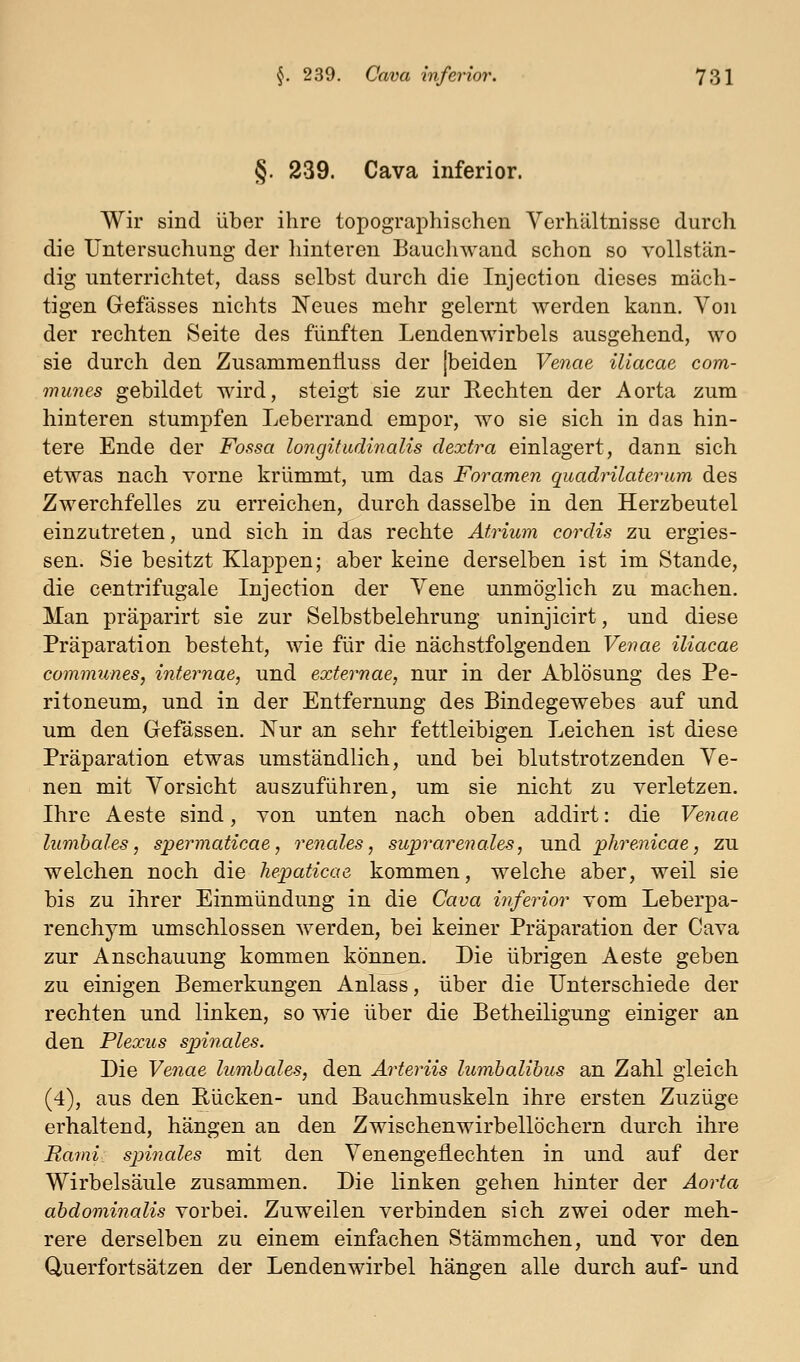 §. 239. Cava inferior. Wir sind über ihre topographischen Verhältnisse durch die Untersuchung der hinteren Bauchwand schon so vollstän- dig unterrichtet, dass selbst durch die Injection dieses mäch- tigen Gefässes nichts Neues mehr gelernt werden kann. Von der rechten Seite des fünften Lendenwirbels ausgehend, wo sie durch den Zusammentluss der [beiden Venae iliacae com- munes gebildet wird, steigt sie zur Rechten der Aorta zum hinteren stumpfen Leberrand empor, wo sie sich in das hin- tere Ende der Fossa longitudinalis dextra einlagert, dann sich etwas nach vorne krümmt, nm das Foramen quady^ilaterum des Zwerchfelles zu erreichen, durch dasselbe in den Herzbeutel einzutreten, und sich in das rechte Atrium cordis zu ergies- sen. Sie besitzt Klappen; aber keine derselben ist im Stande, die centrifugale Injection der Vene unmöglich zu machen. Man präparirt sie zur Selbstbelehrung uninjicirt, und diese Präparation besteht, wie für die nächstfolgenden Venae iliacae communes, internae, und externae, nur in der Ablösung des Pe- ritoneum, und in der Entfernung des Bindegewebes auf und um den Gefässen. Nur an sehr fettleibigen Leichen ist diese Präparation etwas umständlich, und bei blutstrotzenden Ve- nen mit Vorsicht auszuführen, um sie nicht zu verletzen. Ihre Aeste sind, von unten nach oben addirt: die Venae lumbales, spermaticae, renales, suprarenales, und phrenicae, zu welchen noch die hepaticae kommen, welche aber, weil sie bis zu ihrer Einmündung in die Cava inferior vom Leberpa- renchym umschlossen werden, bei keiner Präparation der Cava zur Anschauung kommen können. Die übrigen Aeste geben zu einigen Bemerkungen Anlass, über die Unterschiede der rechten und linken, so wie über die Betheiligung einiger an den Plexus spinales. Die Venae lumbales, den Arteriis lumbalibus an Zahl gleich (4), aus den Rücken- und Bauchmuskeln ihre ersten Zuzüge erhaltend, hängen an den Zwischenwirbellöchern durch ihre Rami spinales mit den Venengetlechten in und auf der Wirbelsäule zusammen. Die linken gehen hinter der Aorta abdominalis vorbei. Zuweilen verbinden sich zwei oder meh- rere derselben zu einem einfachen Stämmchen, und vor den Querfortsätzen der Lendenwirbel hängen alle durch auf- und