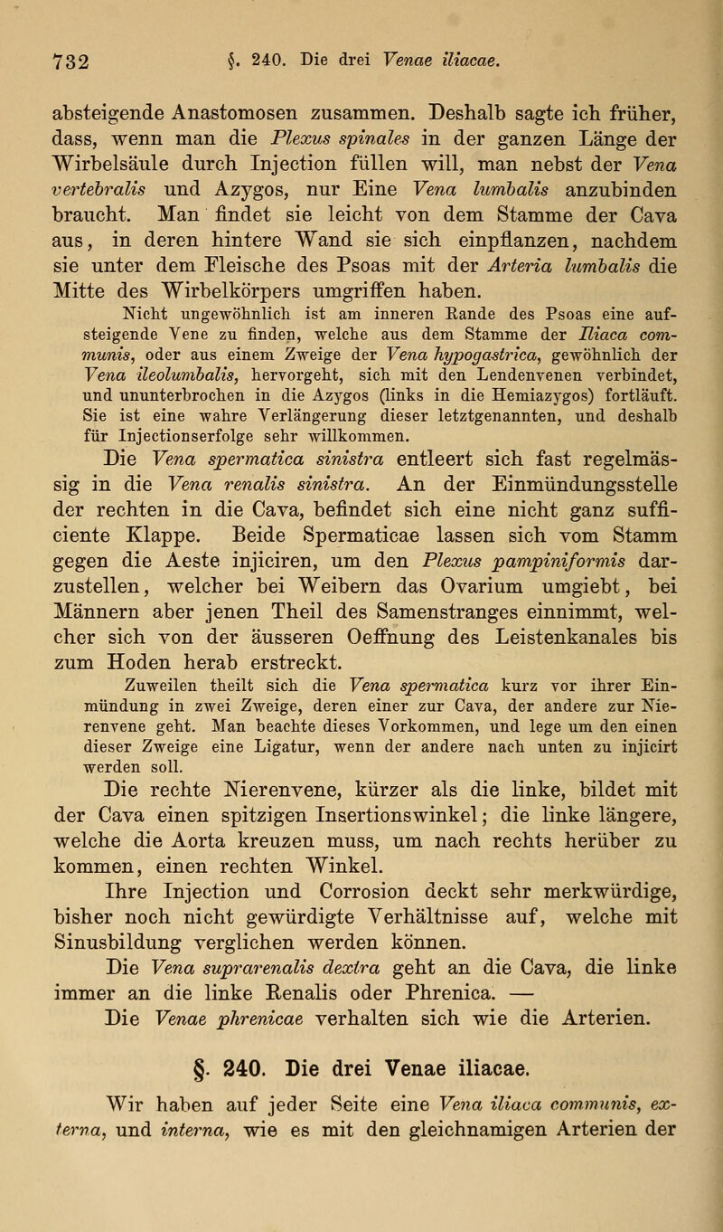 absteigende Anastomosen zusammen. Deshalb sagte ich früher, dass, wenn man die Plexus spinales in der ganzen Länge der Wirbelsäule durch Injection füllen will, man nebst der Vena vertebralis und Azygos, nur Eine Vena lumbalis anzubinden braucht. Man findet sie leicht von dem Stamme der Cava aus, in deren hintere Wand sie sich einpflanzen, nachdem sie unter dem Fleische des Psoas mit der Arteria lumbalis die Mitte des Wirbelkörpers umgriffen haben. Nicht ungewöhnlich ist am inneren Eande des Psoas eine auf- steigende Vene zu finden, welche aus dem Stamme der Hiaca com- munis, oder aus einem Zweige der Vena hypogaMrica, gewöhnlich der Vena lleolumhalis, hervorgeht, sich mit den Lendenvenen verbindet, und ununterbrochen in die Azygos (links in die Hemiazygos) fortläuft. Sie ist eine wahre Verlängerung dieser letztgenannten, und deshalb für Injectionserfolge sehr willkommen. Die Vena spermatica sinistra entleert sich fast regelmäs- sig in die Vena renalis sinistra. An der Einmündungsstelle der rechten in die Cava, befindet sich eine nicht ganz suffi- ciente Klappe. Beide Spermaticae lassen sich vom Stamm gegen die Aeste injiciren, um den Plexus pampiniformis dar- zustellen , welcher bei Weibern das Ovarium umgiebt, bei Männern aber jenen Theil des Samenstranges einnimmt, wel- cher sich von der äusseren Oeffnung des Leistenkanales bis zum Hoden herab erstreckt. Zuweilen theilt sich die Vena spermatica kurz vor ihrer Ein- mündung in zwei Zweige, deren einer zur Cava, der andere zur Nie- renvene geht. Man beachte dieses Vorkommen, und lege um den einen dieser Zweige eine Ligatur, wenn der andere nach unten zu injicirt werden soll. Die rechte Merenvene, kürzer als die linke, bildet mit der Cava einen spitzigen Insertionswinkel; die linke längere, welche die Aorta kreuzen muss, um nach rechts herüber zu kommen, einen rechten Winkel. Ihre Injection und Corrosion deckt sehr merkwürdige, bisher noch nicht gewürdigte Verhältnisse auf, welche mit Sinusbildung verglichen werden können. Die Vena suprarenalis dexira geht an die Cava, die linke immer an die linke Renalis oder Phrenica. — Die Venae phrenicae verhalten sich wie die Arterien. §. 240. Die drei Venae iliacae. Wir haben auf jeder Seite eine Vejia iliaca communis, ex- terna, und interna, wie es mit den gleichnamigen Arterien der
