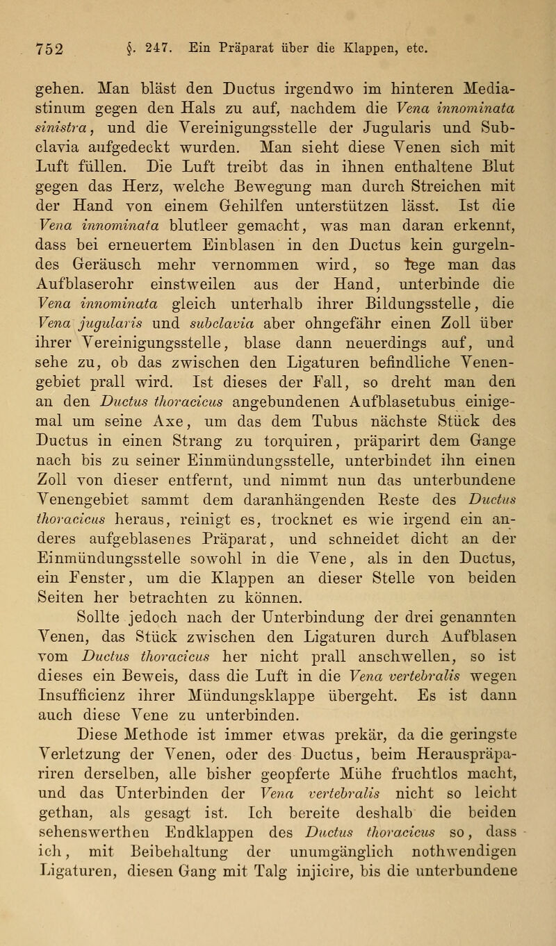 gehen. Man bläst den Ductus irgendwo im hinteren Media- stinum gegen den Hals zu auf, nachdem die Vena innominata sinistra, und die Vereinigungsstelle der Jugularis und Sub- clavia aufgedeckt wurden. Man sieht diese Yenen sich mit Luft füllen. Die Luft treibt das in ihnen enthaltene Blut gegen das Herz, welche Bewegung man durch Streichen mit der Hand von einem Gehilfen unterstützen lässt. Ist die Vena innominata blutleer gemacht, was man daran erkennt, dass bei erneuertem Einblasen in den Ductus kein gurgeln- des Geräusch mehr vernommen wird, so liege man das Aufblaserohr einstweilen aus der Hand, unterbinde die Vena innominata gleich unterhalb ihrer Bildungsstelle, die Vena jugularis und subclavia aber ohngefähr einen Zoll über ihrer Yereinigungsstelle, blase dann neuerdings auf, und sehe zu, ob das zwischen den Ligaturen befindliche Venen- gebiet prall wird. Ist dieses der Fall, so dreht man den an den Ductus thoracicus angebundenen Aufblasetubus einige- mal um seine Axe, um das dem Tubus nächste Stück des Ductus in einen Strang zu torquiren, präparirt dem Gange nach bis zu seiner Einmündungssteile, unterbindet ihn einen Zoll von dieser entfernt, und nimmt nun das unterbundene Venengebiet sammt dem daranhängenden Keste des Ductus thoracicus heraus, reinigt es, trocknet es wie irgend ein an- deres aufgeblasenes Präparat, und schneidet dicht an der Einmündungssteile sowohl in die Vene, als in den Ductus, ein Eenster, um die Klappen an dieser Stelle von beiden Seiten her betrachten zu können. Sollte jedoch nach der Unterbindung der drei genannten Venen, das Stück zwischen den Ligaturen durch Aufblasen vom Ductus thoracicus her nicht prall anschwellen, so ist dieses ein Beweis, dass die Luft in die Vena vertebralis wegen Insufficienz ihrer Mündungsklappe übergeht. Es ist dann auch diese Vene zu unterbinden. Diese Methode ist immer etwas prekär, da die geringste Verletzung der Venen, oder des Ductus, beim Herauspräpa- riren derselben, alle bisher geopferte Mühe fruchtlos macht, und das Unterbinden der Ve7ia vertebralis nicht so leicht gethan, als gesagt ist. Ich bereite deshalb die beiden sehenswertheu Endklappen des Ductus thoracicus so, dass icli, mit Beibehaltung der unumgänglich nothwendigen Ligaturen, diesen Gang mit Talg injicire, bis die unterbundene