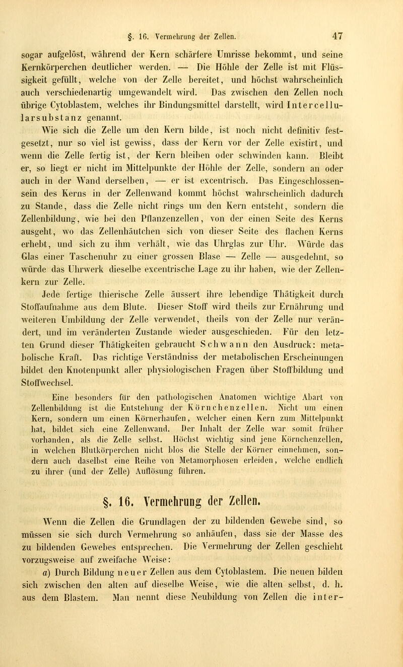 sogar aufgelöst, während der Kern schärfere Umrisse bekommt, und seine Kernkörperchen deutlicher werden, — Die Höhle der Zelle ist mit Flüs- sigkeit gefüllt, welche von der Zelle bereitet, und höchst wahrscheinhch auch verschiedenartig umgewandelt wird. Das zwischen den Zellen noch übrige Cytoblastem, welches ihr Bindungsmittel darstellt, wird Intercellu- Iarsubstanz genannt. Wie sich die Zelle um den Kern bilde, ist noch nicht definitiv fest- gesetzt, nur so viel ist gewiss, dass der Kern vor der Zelle existirt, und wenn die Zelle fertig ist, der Kern bleiben oder schwinden kann. Bleibt er, so hegt er nicht im Mittelpunkte der Hohle der Zelle, sondern an oder auch in der Wand derselben, — er ist excentrisch. Das Eingeschlossen- sein des Kerns in der Zellenwand kommt höchst wahrscheinlich dadurch zu Stande, dass die Zelle nicht rings um den Kern entsteht, sondern die Zellenbildung, wie bei den Pflanzenzellen, von der einen Seite des Kerns ausgeht, wo das Zellenhäutchen sich von dieser Seite des flachen Kerns erhebt, und sich zu ihm verhält, wie das Uhrglas zur Uhr. Würde das Glas einer Taschenuhr zu einer grossen Blase — Zelle — ausgedehnt, so würde das Uhrwerk dieselbe excentrische Lage zu ihr haben, wie der Zellen- kern zur Zelle. Jede fertige thierische Zelle äussert ihre lebendige Thätigkeit durch Stoffaufnahme aus dem Blute. Dieser Stoff wird theils zur Ernährung und weiteren Umbildung der Zelle verwendet, theils von der Zelle nur verän- dert, und im veränderten Zustande wieder ausgeschieden. Für den letz- ten Grund dieser Thätigkeiten gebraucht Schwann den Ausdruck: meta- bolische Kraft. Das richtige Verständniss der metabolischen Erscheinungen bildet den Knotenpunkt aller physiologischen Fragen über Stoffbildung und Stoffwechsel. Eine besonders für den pathologischen Anatomen wichtige Abart von Zellenbiklung ist die Entstehung der Körnchenzeilen. Nicht um einen Kern, sondern um einen Körnerhaufen, welcher einen Kern zum Mittelpunkt hat, bildet sich eine Zellenwand. Der Inhalt der Zelle war somit früher vorhanden, als die Zelle selbst. Höchst wichtig sind jene Körnchenzellen, in welchen Blutkörperchen nicht blos die Stelle der Körner einnehmen, son- dern auch daselbst eine Reihe von Metamorphosen erleiden, welche endhch zu ihrer (und der Zelle) Auflösung führen. §. 16. Vermehrung der Zellen. Wenn die Zellen die Grundlagen der zu bildenden Gewebe sind, so müssen sie sich durch Vermehrung so anhäufen, dass sie der Masse des zu bildenden Gewebes entsprechen. Die Vermehrung der Zellen geschieht vorzugsweise auf zweifache Weise: a) Durch Bildung neuer Zellen aus dem Cytoblastem. Die neuen bilden sich zwischen den aUen auf dieselbe Weise, wde die alten selbst, d. h. aus dem Blastem. Man nennt diese Neubildung von Zellen die int er-