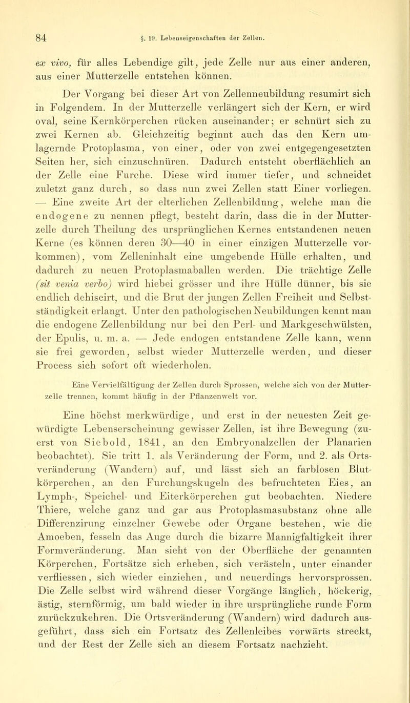 ex vivo, für alles Lebendige gilt, jede Zelle nur aus einer anderen, aus einer Mutterzelle entstehen können. Der Vorgang bei dieser Art von Zellenneubildung resumirt sich in Folgendem. In der Mutterzelle verlängert sich der Kern, er wird oval, seine Kernkörperchen rücken auseinander; er schnürt sich zu zwei Kernen ab. Gleichzeitig beginnt auch das den Kern um- lagernde Protoplasma, von einer, oder von zwei entgegengesetzten Seiten her, sich einzuschnüren. Dadurch entsteht oberflächlich an der Zelle eine Furche. Diese wird immer tiefer, und schneidet zuletzt ganz durch, so dass nun zwei Zellen statt Einer vorliegen. — Eine zweite Art der elterlichen Zellenbildung, welche man die endogene zu nennen pflegt, besteht darin, dass die in der Mutter- zelle durch Theilung des ursprünglichen Kernes entstandenen neuen Kerne (es können deren 30—40 in einer einzigen Mutterzelle vor- kommen) , vom Zelleninhalt eine umgebende Hülle erhalten, und dadurch zu neuen Protoplasmaballen werden. Die trächtige Zelle (sit venia verho) wird hiebei grösser und ihre Hülle dünner, bis sie endlich dehiscirt, und die Brut der jungen Zellen Freiheit und Selbst- ständigkeit erlangt. Unter den pathologischen Neubildungen kennt man die endogene Zellenbildung nur bei den Perl- und Markgeschwülsten, der Epulis, u. m. a. — Jede endogen entstandene Zelle kann, wenn sie frei geworden, selbst wieder Mutterzelle werden, und dieser Process sich sofort oft wiederholen. Eine Vervielfältigung der Zellen durch Sprossen, welche sich von der Mutter- zelle trennen, kommt häufig in der Pflanzenwelt vor. Eine höchst merkwürdige, und erst in der neuesten Zeit ge- würdigte Lebenserscheinung gewisser Zellen, ist ihre Bewegung (zu- erst von Siebold, 1841, an den Embryonalzellen der Planarien beobachtet). Sie tritt 1. als Veränderung der Form, und 2. als Orts- veränderung (Wandern) auf, und lässt sich an farblosen Blut- körperchen, an den Furchungskugeln des befruchteten Eies, an Lymph-, Speichel- und Eiterkörperchen gut beobachten. Niedere Thiere, welche ganz und gar aus Protoplasmasubstanz ohne alle Differenzirung einzelner Gewebe oder Organe bestehen, wie die Amoeben, fesseln das Auge durch die bizarre Mannigfaltigkeit ihrer Formveränderung. Man sieht von der Oberfläche der genannten Körperchen, Fortsätze sich erheben, sich verästeln, unter einander verfliessen, sich wieder einziehen, und neuerdings hervorsprossen. Die Zelle selbst wird während dieser Vorgänge länglich, höckerig, ästig, sternförmig, um bald wieder in ihre ursprüngliche runde Form zurückzukehren. Die Ortsveränderung (Wandern) wird dadurch aus- geführt, dass sich ein Fortsatz des Zellenleibes vorwärts streckt, und der Rest der Zelle sich an diesem Fortsatz nachzieht.