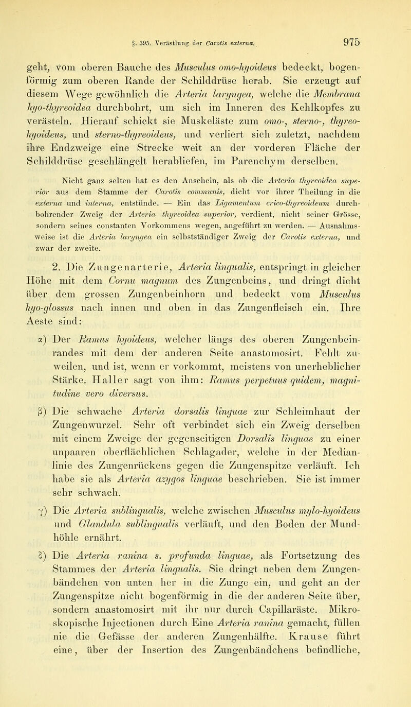 geht, vom oberen Bauche des Musculus omo-hyoideus bedeckt, bogen- förmig zum oberen Rande der Schilddrüse herab. Sie erzeugt auf diesem Wege gewöhnlich die Arteria laryngea, welche die Memhrana hyo-thyreoidea durchbohrt, um sich im Inneren des Kehlkopfes zu verästeln. Hierauf schickt sie Muskeläste zum omo-, sterno-, ilvyreo- hyoideus, und sterno-tliyreoideus, und verliert sich zuletzt, nachdem ihre Endzweige eine Strecke weit an der vorderen Fläche der Schilddrüse geschlängelt herabliefen, im Parenchym derselben. Nicht ganz selten hat es den Anschein, als ob die Arteria thyreoidea supe- rior ans dem Stamme der Carotis communis, dicht vor ihrer Theilung in die externa und interna, entstünde. — Ein das Ligamentum crico-thyreoideum durch- bohrender Zweig der Arteria thyreoidea swperior, verdient, nicht seiner Grösse, sondern seines constanten Vorkommens wegen, angeführt zu werden. — Ausnahms- weise ist die Arteria laryngea ein selbstständiger Zweig der Carotis externa, und zwar der zweite. 2. Die Zungenarterie, Arteria lingualis, entspringt in gleicher Höhe mit dem Cornu magnum des Zungenbeins, und dringt dicht über dem grossen Zungenbeinhorn und bedeckt vom Muscidus hyo-glossus nach innen und oben in das Zungenfleisch ein. Ihre Aeste sind: a) Der Ramus hyoideus, welcher längs des oberen Zungenbein- randes mit dem der anderen Seite anastomosirt. Fehlt zu- weilen, und ist, wenn er vorkommt, meistens von unerheblicher Stärke. Haller sagt von ihm: Ramus perpetuus quidem, magni- tudine vero diversus, ß) Die schwache Arteria dorsalis linguae zur Schleimhaut der Zungenwurzel. Sehr oft verbindet sich ein Zweig derselben mit einem Zweige der gegenseitigen Dorsalis linguae zu einer unpaaren oberflächlichen Schlagader, welche in der Median- linie des Zungenrückens gegen die Zungenspitze verläuft. Ich habe sie als Arteria azygos linguae beschrieben. Sie ist immer sehr schwach. 7) Die Arteria subungualis, welche zwischen Muscidus mylo-hyoideus und Glandida subungualis verläuft, und den Boden der Mund- höhle ernährt. o) Die Arteria ranina s. profunda linguae, als Fortsetzung des Stammes der Arteria lingualis. Sie dringt neben dem Zungen- bändchen von unten her in die Zunge ein, und geht an der Zungenspitze nicht bogenförmig in die der anderen Seite über, sondern anastomosirt mit ihr nur durch Capillaräste. Mikro- skopische Injectionen durch Eine Arteria ranina gemacht, füllen nie die Gefässe der anderen Zungenhälfte. Krause führt eine, über der Insertion des Zungenbändchens befindliche,