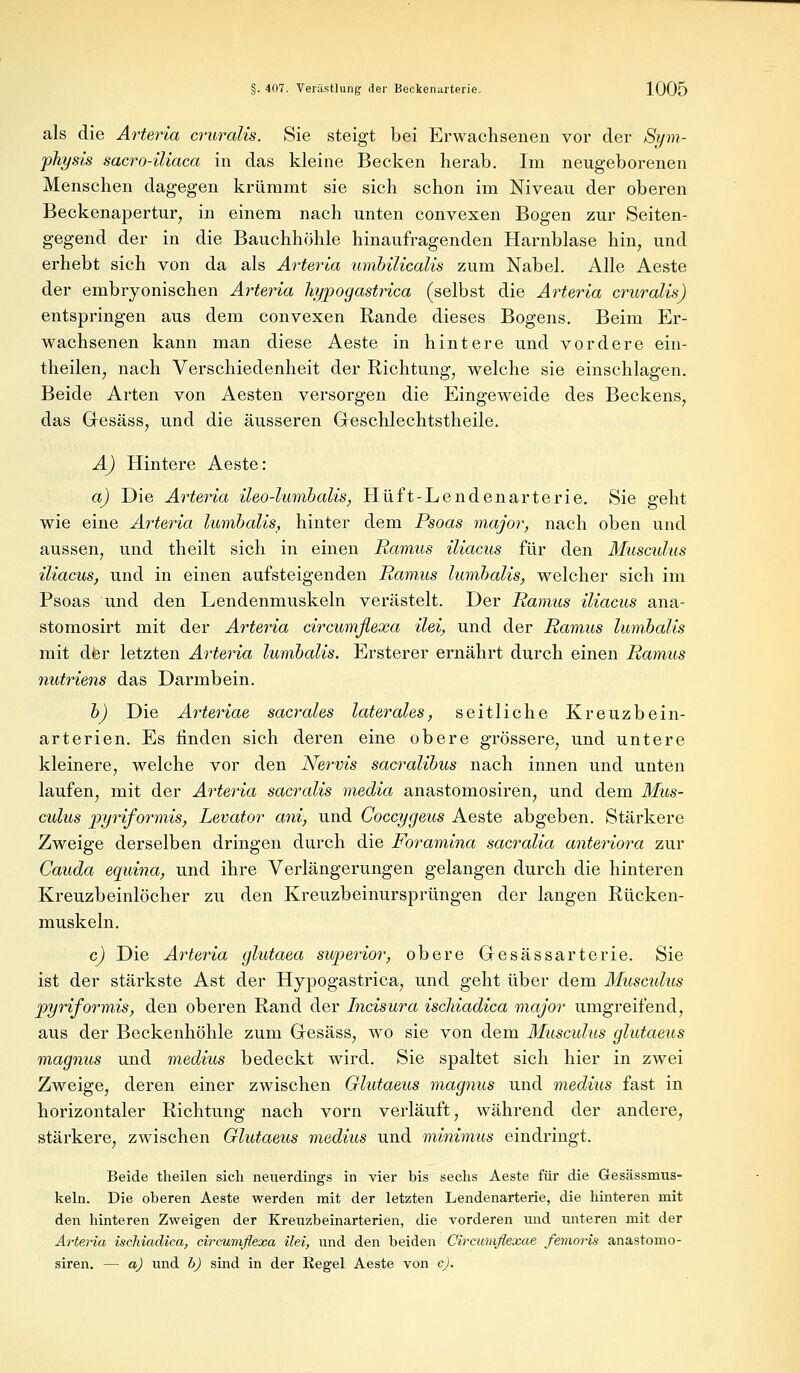 als die Arteria cruralis. Sie steigt bei Erwachsenen vor der Sym- physis sacro-üiaca in das kleine Becken herab. Im neugeborenen Menschen dagegen krümmt sie sich schon im Niveau der oberen Beckenapertur, in einem nach unten convexen Bogen zur Seiten- gegend der in die Bauchhöhle hinaufragenden Harnblase hin, und erhebt sich von da als Arteria umbilicalis zum Nabel. Alle Aeste der embryonischen Arteria hypogastrica (selbst die Arteria cruralis) entspringen aus dem convexen Rande dieses Bogens. Beim Er- wachsenen kann man diese Aeste in hintere und vordere ein- theilen, nach Verschiedenheit der Richtung, welche sie einschlagen. Beide Arten von Aesten versorgen die Eingeweide des Beckens, das Gesäss, und die äusseren Greschlechtstheile. A) Hintere Aeste: a) Die Arteria ileo-lumbalis, Hüft-Lendenarterie. Sie geht wie eine Arteria lumbalis, hinter dem Psoas major, nach oben und aussen, und theilt sich in einen Ramus iliacus für den Musculus iliacus, und in einen aufsteigenden Ramus lumbalis, welcher sich im Psoas und den Lendenmuskeln verästelt. Der Ramus iliacus ana- stomosirt mit der Arteria circumflexa ilei, und der Ramus lumbalis mit dför letzten Arteria lumbalis. Ersterer ernährt durch einen Ramus nutriens das Darmbein. b) Die Arteriae sacrales laterales, seitliche Kreuzbein- arterien. Es finden sich deren eine obere grössere, und untere kleinere, welche vor den Nervis sacralibus nach innen und unten laufen, mit der Arteria sacralis media anastomosiren, und dem Mus- culus pyriformis, Levator ani, und Coccygeus Aeste abgeben. Stärkere Zweige derselben dringen durch die Foramina sacralia anteriora zur Cauda equina, und ihre Verlängerungen gelangen durch die hinteren Kreuzbeinlöcher zu den Kreuzbeinursprüngen der langen Rücken- muskeln. c) Die Arteria glutaea superior, obere Gesässarterie. Sie ist der stärkste Ast der Hypogastrica, und geht über dem Muscidus pyriformis, den oberen Rand der Incisura iscliiadica major umgreifend, aus der Beckenhöhle zum Gresäss, wo sie von dem Musculus glutaeus magnus und medius bedeckt wird. Sie spaltet sich hier in zwei Zweige, deren einer zwischen Glutaeus magnus und medius fast in horizontaler Richtung nach vorn verläuft, während der andere, stärkere, zwischen Glutaeus medius und minimus eindringt. Beide theilen sich neuerdings in vier bis sechs Aeste für die Gesässmus- keln. Die oberen Aeste werden mit der letzten Lendenarterie, die hinteren mit den hinteren Zweigen der Kreuzbeinarterien, die vorderen und unteren mit der Arteria iscliiadica, circumflexa ilei, und den beiden Circumflexae femoris anastomo- siren. — a) und b) sind in der Regel Aeste von c).