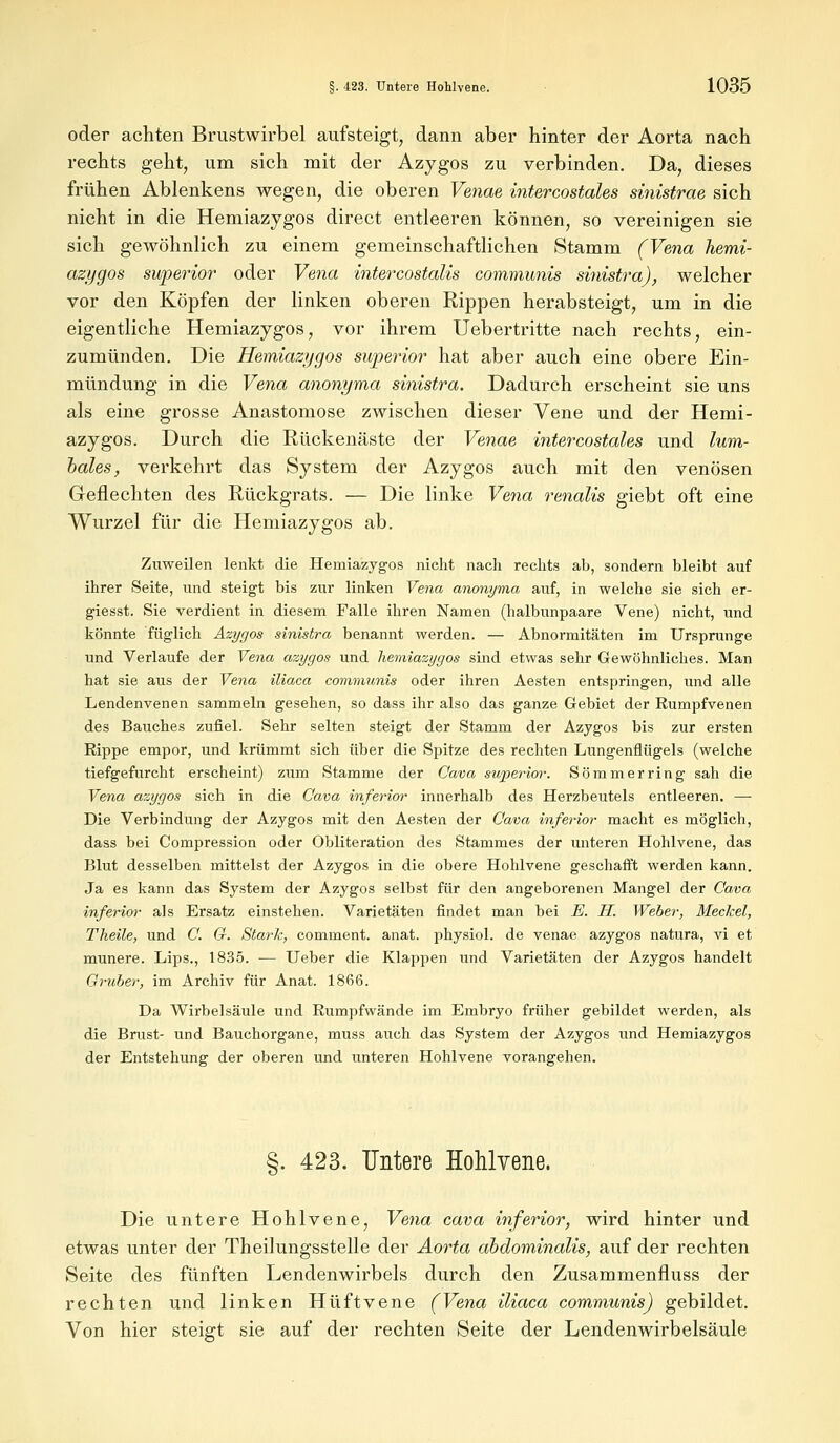 oder achten Brustwirbel aufsteigt, dann aber hinter der Aorta nach rechts geht, um sich mit der Azygos zu verbinden. Da, dieses frühen Ablenkens wegen, die oberen Venae intercostales sinistrae sich nicht in die Hemiazygos direct entleeren können, so vereinigen sie sich gewöhnlich zu einem gemeinschaftlichen Stamm (Vena hemi- azygos swperior oder Vena intercostalis communis sinistra), welcher vor den Köpfen der linken oberen Rippen herabsteigt, um in die eigentliche Hemiazygos, vor ihrem Uebertritte nach rechts, ein- zumünden. Die Hemiazygos sivperior hat aber auch eine obere Ein- mündung in die Vena anonyma sinistra. Dadurch erscheint sie uns als eine grosse Anastomose zwischen dieser Vene und der Hemi- azygos. Durch die Rückenäste der Venae intercostales und lum- bales, verkehrt das System der Azygos auch mit den venösen Geflechten des Rückgrats. — Die linke Vena renalis giebt oft eine Wurzel für die Hemiazygos ab. Zuweilen lenkt die Henriazygos nicht nach rechts ab, sondern bleibt auf ihrer Seite, und steigt bis zur linken Vena anonyma auf, in welche sie sich er- giesst. Sie verdient in diesem Falle ihren Namen (halbunpaare Vene) nicht, und könnte füglich Azygos sinistra benannt werden. — Abnormitäten im Ursprünge und Verlaufe der Vena azygos und hemiazygos sind etwas sehr Gewöhnliches. Man hat sie aus der Vena iliaca communis oder ihren Aesten entspringen, und alle Lendenvenen sammeln gesehen, so dass ihr also das ganze Gebiet der Rumpfvenen des Bauches zufiel. Sehr selten steigt der Stamm der Azygos bis zur ersten Rippe empor, und krümmt sich über die Spitze des rechten Lungenflügels (welche tiefgefurcht erscheint) zum Stamme der Cava superior. Sommer ring sah die Vena azygos sich in die Cava inferior innerhalb des Herzbeutels entleeren. — Die Verbindung der Azygos mit den Aesten der Cava inferior macht es möglich, dass bei Compression oder Obliteration des Stammes der unteren Hohlvene, das Blut desselben mittelst der Azygos in die obere Hohlvene geschafft werden kann. Ja es kann das System der Azygos selbst für den angeborenen Mangel der Cava inferior als Ersatz einstehen. Varietäten findet man bei E. H. Weber, Meckel, Theile, und C. C. Sta?°Jc, comment. anat. physiol. de venae azygos natura, vi et munere. Lips., 1835. — Ueber die Klappen und Varietäten der Azygos handelt Gruber, im Archiv für Anat. 1866. Da Wirbelsäule und Rumpfwände im Embryo früher gebildet werden, als die Brust- und Bauchorgane, muss auch das System der Azygos und Hemiazygos der Entstehung der oberen und unteren Hohlvene vorangehen. §. 423. Untere Hohlvene. Die untere Hohlvene, Vena cava inferior, wird hinter und etwas unter der Theilungsstelle der Aorta abdominalis, auf der rechten Seite des fünften Lendenwirbels durch den Zusammenfluss der rechten und linken Hüftvene (Vena iliaca communis) gebildet. Von hier steigt sie auf der rechten Seite der Lendenwirbelsäule