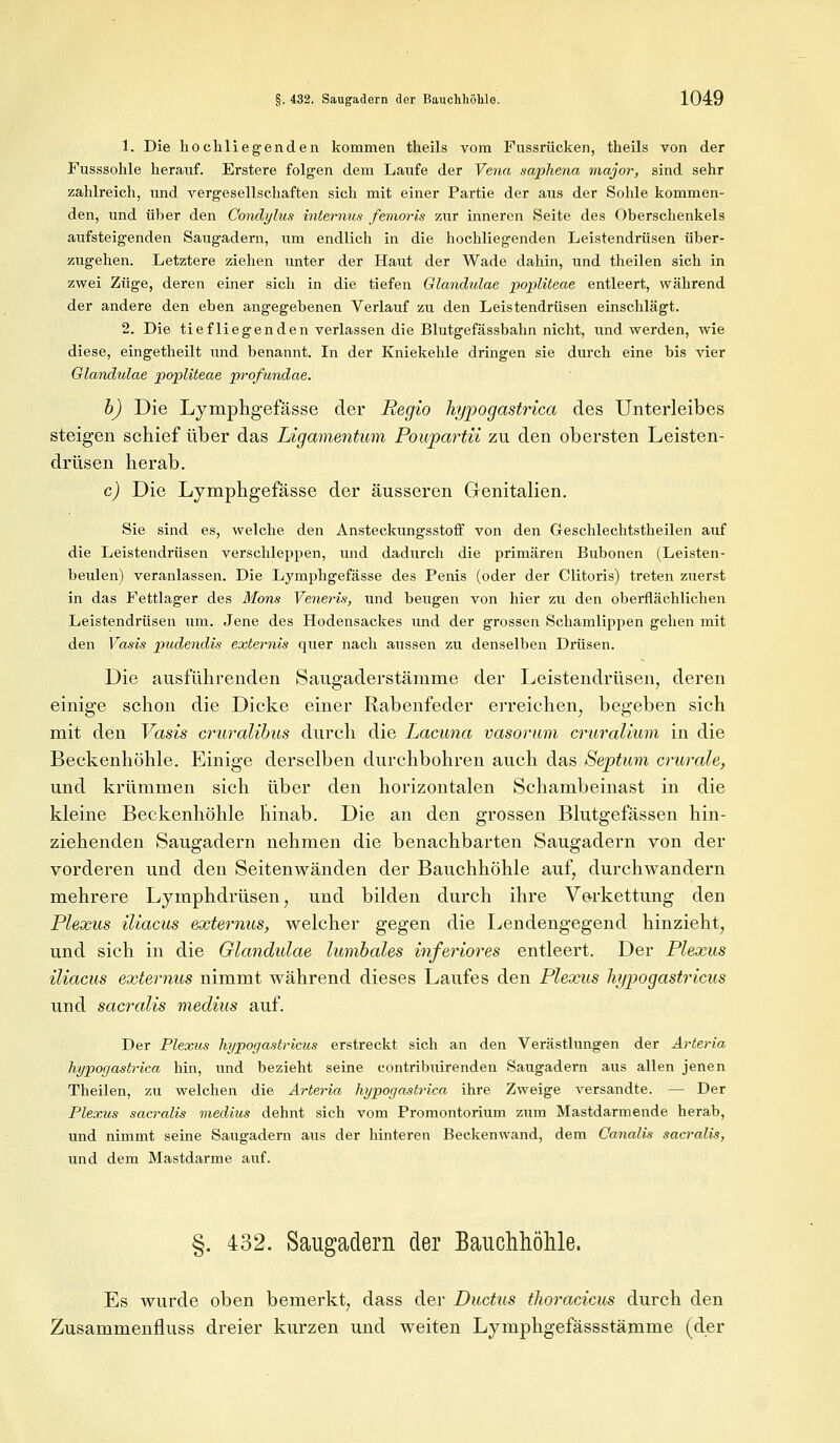1. Die hoch liegenden kommen theils vom Fussrücken, theils von der Fusssohle herauf. Erstere folgen dem Laufe der Vena saphena major, sind sehr zahlreich, und vergesellschaften sich mit einer Partie der aus der Sohle kommen- den, und über den Condylus internus femoris zur inneren Seite des Oberschenkels aufsteigenden Saugadern, um endlich in die hochliegenden Leistendrüsen über- zugehen. Letztere ziehen unter der Haut der Wade dahin, und theilen sich in zwei Züge, deren einer sich in die tiefen Glandulae popliteae entleert, während der andere den eben angegebenen Verlauf zu den Leistendrüsen einschlägt. 2. Die tiefliegenden verlassen die Blutgefässbahn nicht, und werden, wie diese, eingetheilt und benannt. In der Kniekehle dringen sie durch eine bis vier Glandulae popliteae profundae. b) Die Lymphgefässe der Regio hypogastrica des Unterleibes steigen schief über das Ligamentum Poupartii zu den obersten Leisten- drüsen herab. c) Die Lymphgefässe der äusseren Genitalien. Sie sind es, welche den Ansteckungsstoff von den Geschlechtstheilen auf die Leistendrüsen verschleppen, und dadurch die primären Bubonen (Leisten- beulen) veranlassen. Die Lymphgefässe des Penis (oder der Clitoris) treten zuerst in das Fettlager des Mons Veneris, und beugen von hier zu den oberflächlichen Leistendrüsen um. Jene des Hodensackes und der grossen Schamlippen gehen mit den Vasis pudendis externis quer nach aussen zu denselben Drüsen. Die ausführenden Saugaderstämme der Leistendrüsen, deren einige schon die Dicke einer Rabenfeder erreichen, begeben sich mit den Vasis cruralibus durch die Lacuna vasorum cruralium in die Beckenhöhle. Einige derselben durchbohren auch das Septum crurale, und krümmen sich über den horizontalen Schambeinast in die kleine Beckenhöhle hinab. Die an den grossen Blutgefässen hin- ziehenden Saugadern nehmen die benachbarten Saugadern von der vorderen und den Seitenwänden der Bauchhöhle auf, durchwandern mehrere Lymphdrüsen, und bilden durch ihre Verkettung den Plexus iliacus externus, welcher gegen die Lendengegend hinzieht, und sich in die Glandulae lumbales inferiores entleert. Der Plexus iliacus externus nimmt während dieses Laufes den Plexus hypogastricus und sacralis medius auf. Der Plexus hypogastricus erstreckt sich an den Verästlungen der Arteria hypogastrica hin, und bezieht seine contribuirenden Saugadern aus allen jenen Theilen, zu welchen die Arteria hypogastrica ihre Zweige versandte. — Der Plexus sacralis medius dehnt sich vom Promontorium zum Mastdarmende herab, und nimmt seine Saugadern aus der hinteren Beckenwand, dem Canalis sacralis, und dem Mastdarme auf. §. 432. Saugadern der Bauchhöhle. Es wurde oben bemerkt, dass der Ductus tlioracicus durch den Zusammenfluss dreier kurzen und weiten Lymphgefässstämme (der