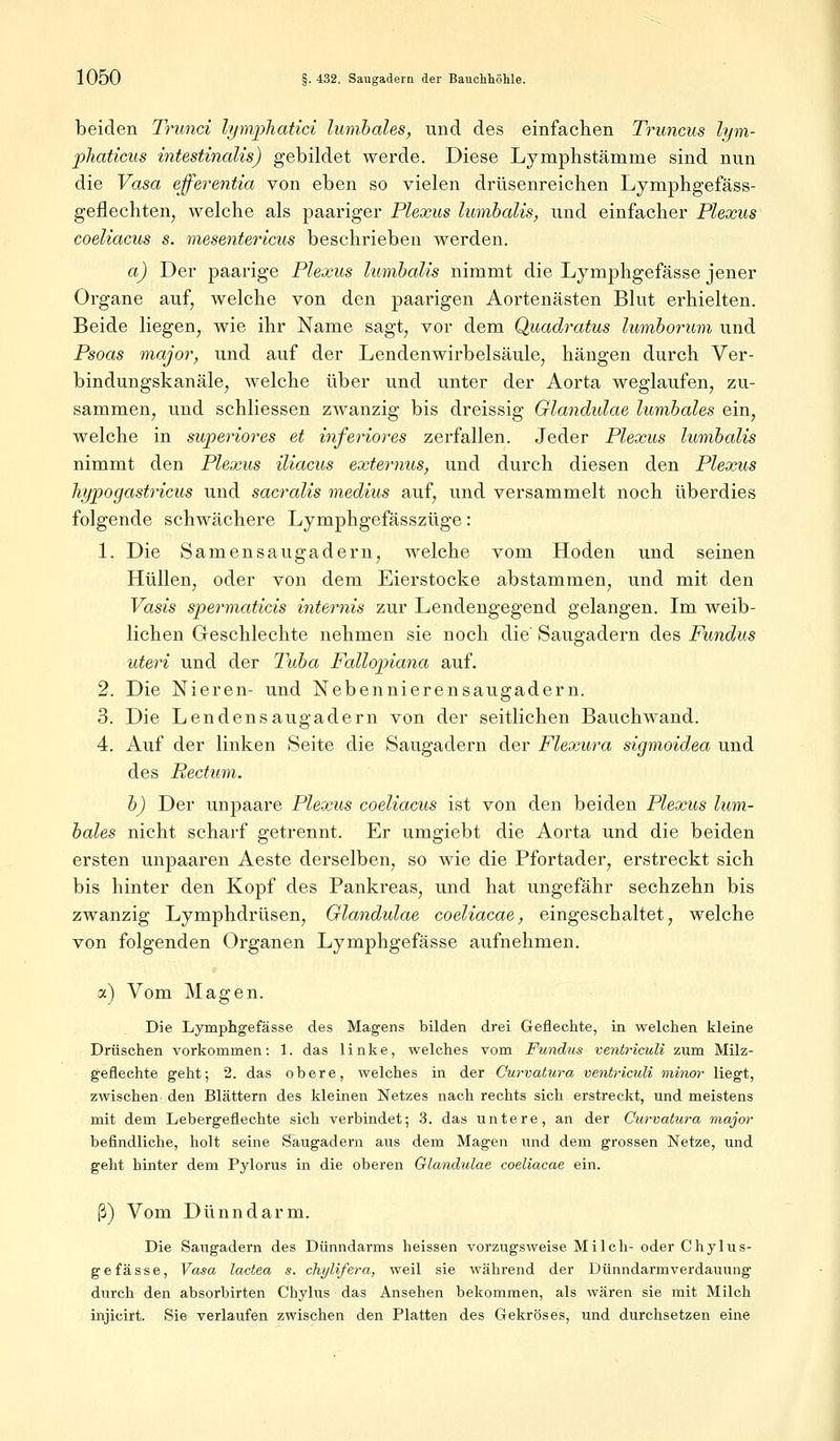 beiden Trunci lymphatici lumbales, und des einfachen Truncus lym- phaticus intestinalis) gebildet werde. Diese Lymphstämme sind nun die Vasa ejferentia von eben so vielen drüsenreichen Lymphgefäss- geflechten, welche als paariger Plexus lumbalis, und einfacher Plexus coeliacus s. mesentericus beschrieben werden. a) Der paarige Plexus lumbalis nimmt die Lymphgefässe jener Organe auf, welche von den paarigen Aortenästen Blut erhielten. Beide liegen, wie ihr Name sagt, vor dem Quadratus lumborum und Psoas major, und auf der Lendenwirbelsäule, hängen durch Ver- bindungskanäle, welche über und unter der Aorta weglaufen, zu- sammen, und schliessen zwanzig bis dreissig Glandulae lumbales ein, welche in superiores et inferiores zerfallen. Jeder Plexus lumbalis nimmt den Plexus iliacus externus, und durch diesen den Plexus hypogastricus und sacralis medius auf, und versammelt noch überdies folgende schwächere Lymphgefässzüge: 1. Die Samensaugadern, welche vom Hoden und seinen Hüllen, oder von dem Eierstocke abstammen, und mit den Vasis spermaticis internis zur Lendengegend gelangen. Im weib- lichen Greschlechte nehmen sie noch die Saugadern des Fundus uteri und der Tuba Fallopiana auf. 2. Die Nieren- und Nebennierensaugadern. 3. Die Lendensaugadern von der seitlichen Bauchwand. 4. Auf der linken Seite die Saugadern der Flexura sigmoidea und des Rectum. b) Der unpaare Plexus coeliacus ist von den beiden Plexus lum- bales nicht scharf getrennt. Er umgiebt die Aorta und die beiden ersten unpaaren Aeste derselben, so wie die Pfortader, erstreckt sich bis hinter den Kopf des Pankreas, und hat ungefähr sechzehn bis zwanzig Lymphdrüsen, Glandulae coeliacae, eingeschaltet, welche von folgenden Organen Lymphgefässe aufnehmen. a) Vom Magen. Die Lymphgefässe des Magens bilden drei Geflechte, in welchen kleine Drüschen vorkommen: 1. das linke, welches vom Fundus ventriculi zum Milz- geflechte geht; 2. das obere, welches in der Gurvatura ventriculi minor liegt, zwischen- den Blättern des kleinen Netzes nach rechts sich erstreckt, und meistens mit dem Lebergeflechte sich verbindet; 3. das untere, an der Gurvatura major befindliche, holt seine Saugadern aus dem Magen und dem grossen Netze, und geht hinter dem Pylorus in die oberen Glandulae coeliacae ein. ß) Vom Dünndarm. Die Saugadern des Dünndarms heissen vorzugsweise Milch- oder Chylus- gefasse, Vasa lactea s. chylifera, weil sie während der Dünndarmverdauung durch den absorbirten Chylus das Ansehen bekommen, als wären sie mit Milch injicirt. Sie verlaufen zwischen den Platten des Gekröses, und durchsetzen eine
