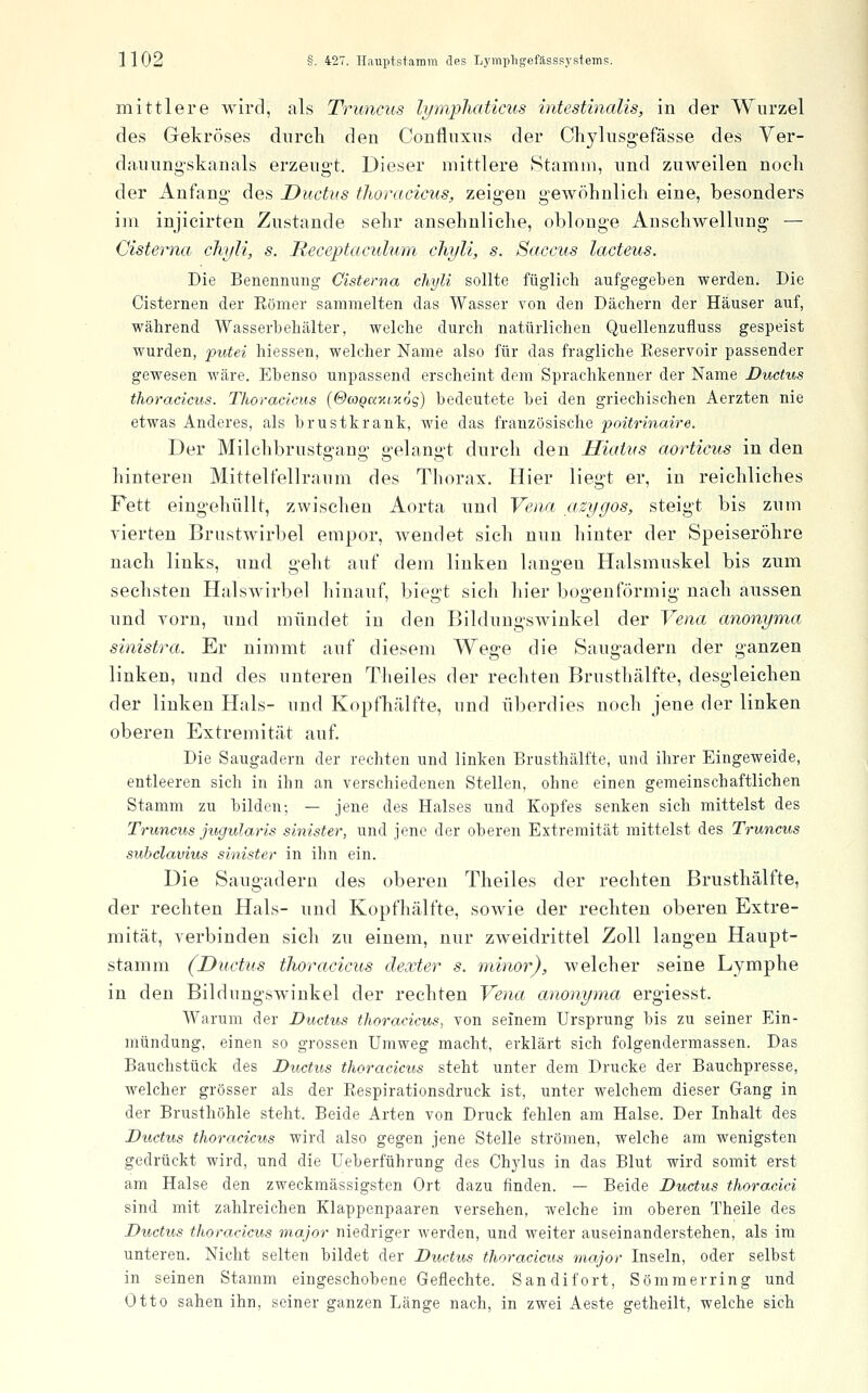 mittlere wird, als Truncus lympliaticus intestinalis, in der Wurzel des Gekröses durch den Confluxus der Chylusgefässe des Yer- dauung'skanals erzeugt. Dieser mittlere Stamm, und zuweilen nocli der Anfang des Ductus tJioracicus, zeigen gewöhnlicli eine, besonders im injieirten Zustande sehr ansehnliche, oblonge Anschwellung — Cisterna chyli, s. Receptaculum cJiyli, s. Saccus lacteus. Die Benennung Cisterna chyli sollte füglich aufgegeben werden. Die Cisternen der Eömer sammelten das Wasser von den Dächern der Häuser auf, während Wasserbehälter, welche durch natürlichen Quellenzufluss gespeist wurden, putei hiessen, welcher Name also für das fragliche Eeservoir passender gewesen wäre. Ebenso unpassend erscheint dem Sprachkenner der Name Ductus thoracicus. TJioracicus (©o^axixog) bedeutete bei den griechischen Aerzten nie etwas Anderes, als brustkrank, wie das französische poitrinaire. Der Milchbrustgang gelangt durch den Hiatus aorticus in den hinteren Mittelfelira um des Thorax. Hier liegt er, in reichliches Fett eingehüllt, zwischen Aorta und Vena azygos, steigt bis zum vierten Brustwirbel empor, wendet sich nun hinter der Speiseröhre nach links, und g-eht auf dem linken langen Halsmuskel bis zum sechsten Halswirbel liinauf, l)iegt sieh hier bogenförmig nach aussen und vorn, und mündet in den Bildungswinkel der Vena anonyma sinistra. Er nimmt auf diesem Weg-e die Saugadern der ganzen linken, und des unteren Theiles der rechten Brusthälfte, desgleichen der linken Hals- und Kopfhälfte, und überdies noch jene der linken oberen Extremität auf. Die Saugadern der rechten und linken Brusthälfte, und ihrer Eingeweide, entleeren sich in ihn an verschiedenen Stellen, ohne einen gemeinschaftlichen Stamm zu bilden; — jene des Halses und Kopfes senken sich mittelst des Truncus jugularis sinister, und jene der oberen Extremität mittelst des Truncus suhclavius sinister in ihn ein. Die Saugadern des oberen Theiles der rechten Brusthälfte, der rechten Hals- und Kopfhälfte, sowie der rechten oberen Extre- mität, verbinden sich zu einem, nur zweidrittel Zoll langen Haupt- stamm (Ductus thoracicus dexter s. minor), welcher seine Lymphe in den Bildungswinkel der rechten Vena anonyma ergiesst. AVarum der Ductus thoracicus, von seinem Ursprung bis zu seiner Ein- mündung, einen so grossen Umweg macht, erklärt sich folgendermassen. Das Bauchstück des Ductus thoracicus steht unter dem Drucke der Bauchpresse, welcher grösser als der Respirationsdruck ist, unter welchem dieser Gang in der Brusthöhle steht. Beide Arten von Druck fehlen am Halse. Der Inhalt des Ductus thoracicus wird also gegen jene Stelle strömen, welche am wenigsten gedrückt wird, und die Ueberführung des Chj^lus in das Blut wird somit erst am Halse den zweckmässigsten Ort dazu finden. — Beide Ductus thoracici sind mit zahlreichen Klappenpaaren versehen, welche im oberen Theile des Ductus thoracicus major niedriger werden, und weiter auseinanderstehen, als im unteren. Nicht selten bildet der Ductus thoracicus major Inseln, oder selbst in seinen Stamm eingeschobene Geflechte. Sandifort, Sömmerring und Otto sahen ihn, seiner ganzen Länge nach, in zwei Aeste getheilt, welche sich