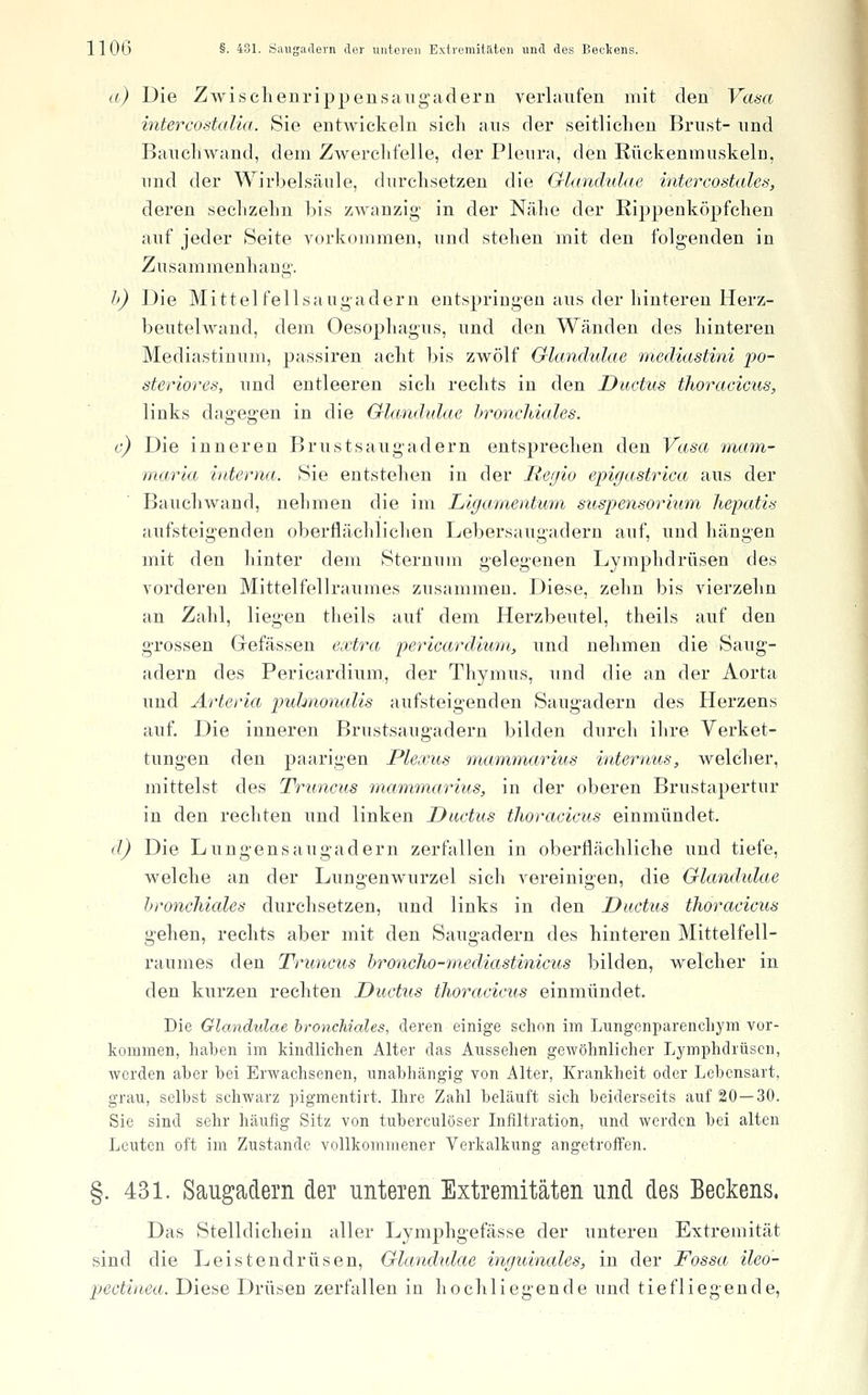 a) Die ZAvisclienrippeusaugadern verlaufen mit den Vasa intercostalia. Sie entwickeln sich aus der seitlichen Brust- und Baucliwand, dem Zwerchfelle, der Pleura, den Rückenmuskeln, und der Wirbelsäule, durchsetzen die Glandulae intercostales, deren sechzehn bis zwanzig in der Nähe der Rippenköpfchen auf jeder Seite vorkommen, und stehen mit den folgenden in Zusammenhang. h) Die Mittelfellsaugadern entspringen aus der hinteren Herz- beutelwand, dem Oesophagus, und den Wänden des hinteren Mediastinum, passiren acht bis zwölf Glandtdae niediastini po- steriores, und entleeren sich rechts in den Ductus thoraaicus, links dagegen in die Glandulae hroncMales. c) Die inneren Brustsaugadern entsprechen den Vasa mam- marla interna. Sie entstehen in der Regio epigastrica aus der Bauchwand, nehmen die im Ligamentum Suspensorium hepatis aufsteigenden oberflächlichen Lebersaugadern auf, und hängen mit den hinter dem Sternum gelegenen Lymphdrüsen des vorderen Mittelfellraumes zusammen. Diese, zehn bis vierzehn an Zahl, liegen theils auf dem Herzbeutel, theils auf den grossen Gefässen extra pericardiurn, und nehmen die Saug- adern des Pericardium, der Thymus, und die an der Aorta und Arteria pulmonalis aufsteigenden Saugadern des Herzens auf. Die inneren Brustsaugadern bilden durch ihre Verket- tungen den paarigen Plexus mammarius internus, welcher, mittelst des Truncus mammarius, in der oberen Brustapertur in den rechten und linken Ductus tJwracicus einmündet. d) Die Lungensaugadern zerfallen in oberflächliche und tiefe, welche an der Lungenwurzel sich vereinigen, die Glandulae hroncMales durchsetzen, und links in den Ductus thoracicus gehen, rechts aber mit den Saugadern des hinteren Mittelfell- raumes den Truncus hronclio-mediastinicus bilden, welcher in den kurzen rechten Ductus thoracicus einmündet. Die Glandulae broncJiiales, deren einige schon im Lungenparenchym vor- kommen, haben im kindlichen Alter das Aussehen gewöhnlicher Lymphdrüsen, werden aber bei Erwachsenen, unabhängig von Alter, Krankheit oder Lebensart, grau, selbst schwarz pigmentirt. Ihre Zahl beläuft sich beiderseits auf 20 — 30. Sie sind sehr häufig Sitz von tuberculöser Infiltration, und werden bei alten Leuten oft im Zustande vollkommener Verkalkung angetroffen. §. 43 L Saugadern der unteren Extremitäten und des Beckens. Das Stelldichein aller Lymphgefässe der unteren Extremität sind die Leistendrüsen, Glandidae inguinales, in der Fossa ileo- pectinea. Diese Drüsen zerfallen in hochliegende und tiefliegende,