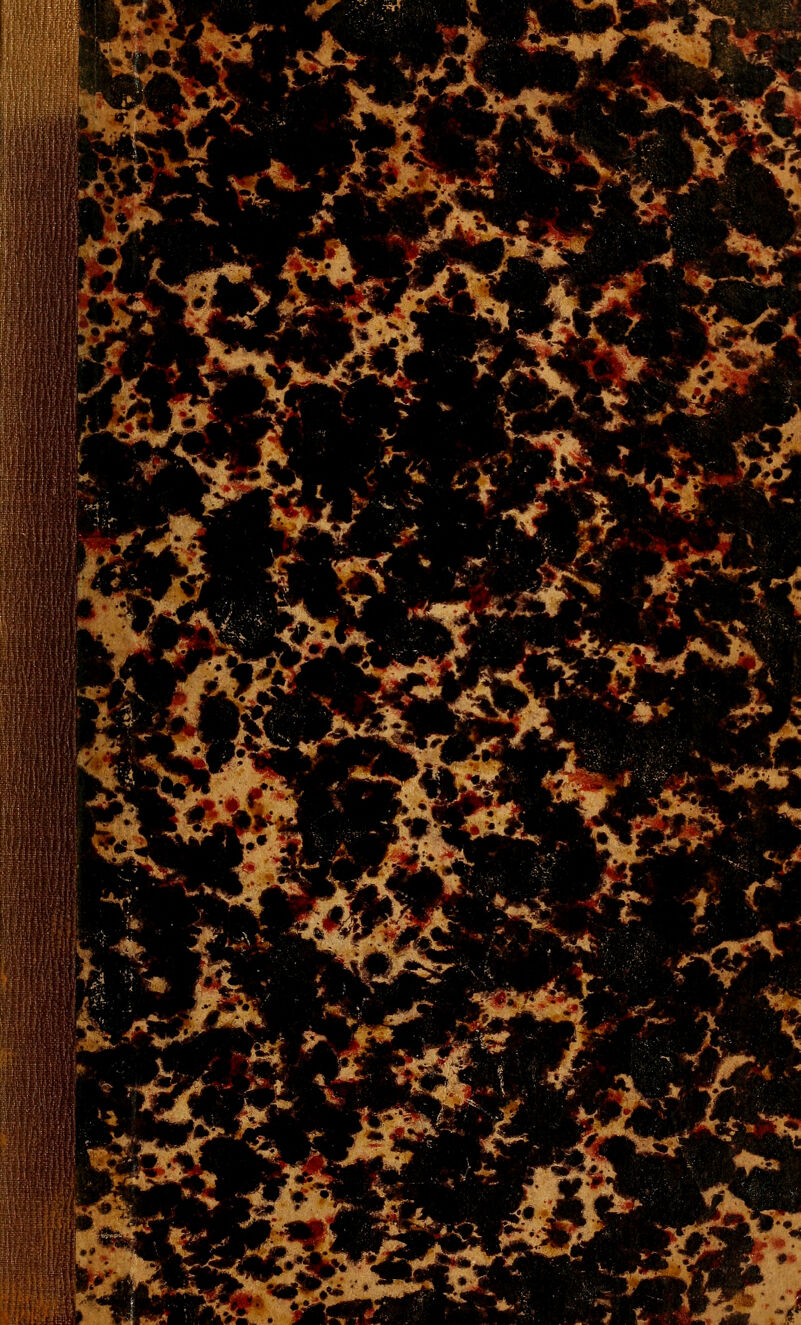 m KF-, ■ '^ ^4 MÊÊÊ ■^. ^ «f'^ ^ '^ ¥^ ,*-> ^ *^1P:. _ / ^