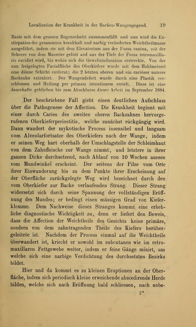 ö^öv Basis mit dem grossen Bogenschnitt zusammenfällt und nun wird die Ex- stirpation der gesammten krankhaft und narbig veränderten Weichtheilmasse ausgeführt, indem sie mit dem Elevatorium aus der Fossa canina, mit der Scheere von dem Masseter gelöst and aus der Tiefe der Fossa retromaxilla- ris excidirt wird, bis wohin sich die Gewebsinduration erstreckte. Von der nun freigelegten Facialfläche des Oberkiefers wurde mit dem Hohlmeissel eine dünne Schicht entfernt; die 2 letzten oberen und ein cariöser unterer Backzahn extrahirt. Der Wangendefect wurde durch eine Plastik ver- schlossen und Heilung per primam intentionem erzielt. Diese ist eine dauerhafte geblieben bis zum Abschlüsse dieser Arbeit im September 1884. Der beschriebene Fall giebt einen deutlichen Ausschluss über die Pathogenese der Affection. Die Krankheit beginnt mit einer durch Caries des zweiten oberen Backzahnes hervorge- rufenen Oberkieferperiostitis, welche zunächst rückgängig wird. Dann wandert der mykotische Process insensibel und langsam vom Alveolarfortsatze des Oberkiefers nach der Wange, indem er seinen Weg hart oberhalb der Umschlagstelle der Schleimhaut von dem Zahnfleische zur Wange nimmt, und letztere in ihrer ganzen Dicke durchsetzend, nach Ablauf von 10 Wochen aussen vom Mundwinkel erscheint. Der seitens der Pilze vom Orte ihrer Einwanderung bis zu dem Punkte ihrer Erscheinung auf der Oberfläche zurückgelegte Weg wird bezeichnet durch den vom Oberkiefer zur Backe verlaufenden Strang. Dieser Strang widersetzt sich durch seine Spannung der vollständigen Eröff- nung des Mundes; er bedingt einen massigen Grad von Kiefer- klemme. Dem Nachweise dieses Stranges kommt eine erheb- liche diagnostische Wichtigkeit zu, denn er liefert den Beweis, dass die Affection der Weichtheile des Gesichts keine primäre, sondern von dem zahntragenden Theile des Kiefers herüber- geleitete ist. Nachdem der Process einmal auf die Weichtheile überwandert ist, kriecht er sowohl im subcutanen wie im retro- maxillaren Fettgewebe weiter, indem er feine Gänge minirt, um welche sich eine narbige Verdichtung des durchsetzten Bezirks bildet. Hier und da kommt es zu kleinen Eruptionen an der Ober- fläche, indem sich periodisch kleine erweichende abscedirende Herde bilden, welche sich nach Eröffnung bald schliessen, nach unbe-