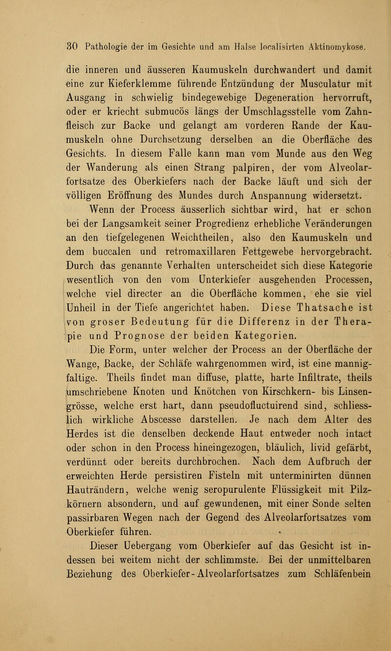 die inneren und äusseren Kaumuskeln durchwandert und damit eine zur Kieferklemme führende Entzündung der Musculatur mit Ausgang in schwielig bindegewebige Degeneration hervorruft, oder er kriecht submucös längs der Umschlagsstelle vom Zahn- fleisch zur Backe und gelangt am vorderen Rande der Kau- muskeln ohne Durchsetzung derselben an die Oberfläche des Gesichts. In diesem Falle kann man vom Munde aus den Weg der Wanderung als einen Strang palpiren, der vom Alveolar- fortsatze des Oberkiefers nach der Backe läuft und sich der völligen Eröffnung des Mundes durch Anspannung widersetzt. Wenn der Process äusserlich sichtbar wird, hat er schon bei der Langsamkeit seiner Progredienz erhebliche Veränderungen an den tiefgelegenen Weichtheilen, also den Kaumuskeln und dem buccalen und retromaxillaren Fettgewebe hervorgebracht. Durch das genannte Verhalten unterscheidet sich diese Kategorie wesentlich von den vom Unterkiefer ausgehenden Processen, welche viel directer an die Oberfläche kommen, ehe sie viel Unheil in der Tiefe angerichtet haben. Diese Thatsache ist von groser Bedeutung für die Differenz in der Thera- pie und Prognose der beiden Kategorien. Die Form, unter welcher der Process an der Oberfläche der Wange, Backe, der Schläfe wahrgenommen wird, ist eine mannig- faltige. Theils findet man diffuse, platte, harte Infiltrate, theils umschriebene Knoten und Knötchen von Kirschkern- bis Linsen- grösse, welche erst hart, dann pseudofluctuirend sind, schliess- lich wirkliche Abscesse darstellen. Je nach dem Alter des Herdes ist die denselben deckende Haut entweder noch intact oder schon in den Process hineingezogen, bläulich, livid gefärbt, verdünnt oder bereits durchbrochen. Nach dem Aufbruch der erweichten Herde persistiren Fisteln mit unterminirten dünnen Hauträndern, welche wenig seropurulente Flüssigkeit mit Pilz- körnern absondern, und auf gewundenen, mit einer Sonde selten passirbaren Wegen nach der Gegend des Alveolarfortsatzes vom Oberkiefer führen. Dieser Uebergang vom Oberkiefer auf das Gesicht ist in- dessen bei weitem nicht der schlimmste. Bei der unmittelbaren Beziehung des Oberkiefer-Alveolarfortsatzes zum Schläfenbein