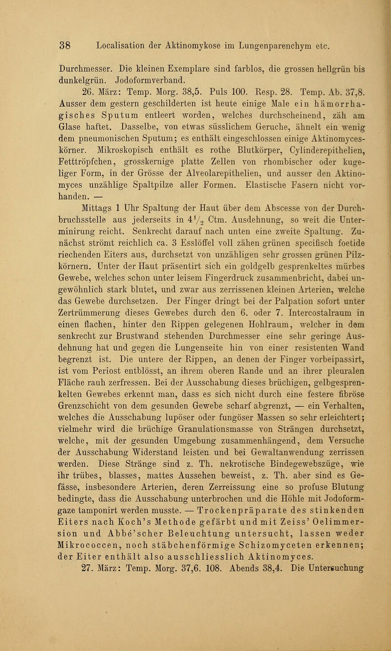 Durchmesser. Die kleinen Exemplare sind farblos, die grossen hellgrün bis dunkelgrün. Jodoformverband. 26. März: Temp. Morg. 38,5. Puls 100. Resp. 28. Temp. Ab. 37,8. Ausser dem gestern geschilderten ist heute einige Male ein hämorrha- gisches Sputum entleert worden, welches durchscheinend, zäh am Glase haftet. Dasselbe, von etwas süsslichem Gerüche, ähnelt ein wenig dem pneumonischen Sputum; es enthält eingeschlossen einige Aktinomyces- körner. Mikroskopisch enthält es rothe Blutkörper, Cylinderepithelien, Fetttröpfchen, grosskernige platte Zellen von rhombischer oder kuge- liger Form, in der Grösse der Alveolarepithelien, und ausser den Aktino- myces unzählige Spaltpilze aller Formen. Elastische Fasern nicht vor- handen. — Mittags 1 Uhr Spaltung der Haut über dem Abscesse von der Durch- bruchsstelle aus jederseits in 4'/2 Ctm. Ausdehnung, so weit die Unter- minirung reicht. Senkrecht darauf nach unten eine zweite Spaltung. Zu- nächst strömt reichlich ca. 3 Esslöffel voll zähen grünen speeifisch foetide riechenden Eiters aus, durchsetzt von unzähligen sehr grossen grünen Pilz- körnern. Unter der Haut präsentirt sich ein goldgelb gesprenkeltes mürbes Gewebe, welches schon unter leisem Fingerdruck zusammenbricht, dabei un- gewöhnlich stark blutet, und zwar aus zerrissenen ldeinen Arterien, welche das Gewebe durchsetzen. Der Finger dringt bei der Palpation sofort unter Zertrümmerung dieses Gewebes durch den 6. oder 7. Intercostalraum in einen flachen, hinter den Rippen gelegenen Hohlraum, welcher in dem senkrecht zur Brustwand stehenden Durchmesser eine sehr geringe Aus- dehnung hat und gegen die Lungenseite hin von einer resistenten Wand begrenzt ist. Die untere der Rippen, an denen der Finger vorbeipassirt, ist vom Periost entblösst, an ihrem oberen Rande und an ihrer pleuralen Fläche rauh zerfressen. Bei der Ausschabung dieses brüchigen, gelbgespren- kelten Gewebes erkennt man, dass es sich nicht durch eine festere fibröse Grenzschicht von dem gesunden Gewebe scharf abgrenzt, — ein Verhalten, welches die Ausschabung lupöser oder fungöser Massen so sehr erleichtert; vielmehr wird die brüchige Granulationsmasse von Strängen durchsetzt, welche, mit der gesunden Umgebung zusammenhängend, dem Versuche der Ausschabung Widerstand leisten und bei Gewaltanwendung zerrissen werden. Diese Stränge sind z. Th. nekrotische Bindegewebszüge, wie ihr trübes, blasses, mattes Aussehen beweist, z. Th. aber sind es Ge- fässe, insbesondere Arterien, deren Zerreissung eine so profuse Blutung bedingte, dass die Ausschabung unterbrochen und die Höhle mit Jodoform- gaze tamponirt werden musste. — Trockenpräparate des stinkenden Eiters nach Koch's Methode gefärbt undmit Zeiss' Oelimmer- sion und Abbe'scher Beleuchtung untersucht, lassen weder Mikrococcen, noch stäbchenförmige Schizomyceten erkennen; der Eiter enthält also ausschliesslich Aktinomyces. 27. März: Temp. Morg. 37,6. 108. Abends 38,4. Die Untersuchung