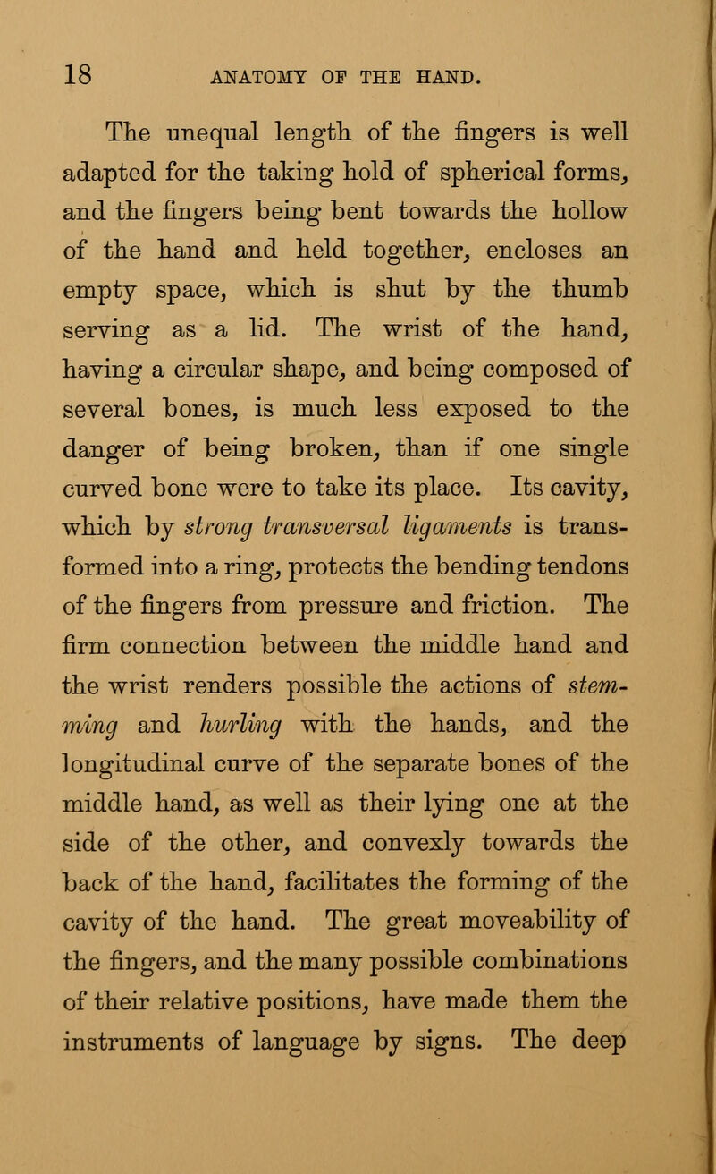 The unequal length of the fingers is well adapted for the taking hold of spherical forms, and the fingers being bent towards the hollow of the hand and held together, encloses an empty space, which is shut by the thumb serving as a lid. The wrist of the hand, having a circular shape, and being composed of several bones, is much less exposed to the danger of being broken, than if one single curved bone were to take its place. Its cavity, which by strong transversal ligaments is trans- formed into a ring, protects the bending tendons of the fingers from pressure and friction. The firm connection between the middle hand and the wrist renders possible the actions of stem- ming and hurling with the hands, and the longitudinal curve of the separate bones of the middle hand, as well as their lying one at the side of the other, and convexly towards the back of the hand, facilitates the forming of the cavity of the hand. The great moveability of the fingers, and the many possible combinations of their relative positions, have made them the instruments of language by signs. The deep