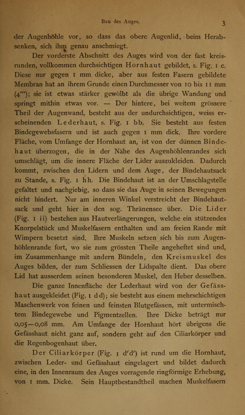 der Augenhöhle vor, so dass das obere Augenlid, beim Herab- senken, sich ihm genau anschmiegt. Der vorderste Abschnitt des Auges wird von der fast kreis- runden, vollkommen durchsichtigen Hornhaut gebildet, s. Fig. i c. Diese nur gegen I mm dicke, aber aus festen Fasern gebildete Membran hat an ihrem Grunde einen Durchmesser von 10 bis n mm (4///); sie ist etwas stärker gewölbt als die übrige Wandung und springt mithin etwas vor. — Der hintere, bei weitem grössere Theil der Augenwand, besteht aus der undurchsichtigen, weiss er- scheinenden Lederhaut, s. Fig. i bb. Sie besteht aus festen Bindegewebsfasern und ist auch gegen i mm dick. Ihre vordere Fläche, vom Umfange der Hornhaut an, ist von der dünnen Binde- haut überzogen, die in der Nähe des Augenhöhlenrandes sich umschlägt, um die innere Fläche der Lider auszukleiden. Dadurch kommt, zwischen den Lidern und dem Auge, der Bindehautsack zu Stande, s. Fig. i hh. Die Bindehaut ist an der Umschlagstelle gefaltet und nachgiebig, so dass sie das Auge in seinen Bewegungen nicht hindert. Nur am inneren Winkel verstreicht der Bindehaut- sack und geht hier in den sog. Thränensee über. Die Lider (Fig. i i i) bestehen aus Hautverlängerungen, welche ein stützendes Knorpelstück und Muskelfasern enthalten und am freien Rande mit Wimpern besetzt sind. Ihre Muskeln setzen sich bis zum Augen- höhlenrande fort, wo sie zum grössten Theile angeheftet sind und, im Zusammenhange mit andern Bündeln, den Kreismuskel des Auges bilden, der zum Schliessen der Lidspalte dient. Das obere Lid hat ausserdem seinen besonderen Muskel, den Heber desselben. Die ganze Innenfläche der Lederhaut wird von der Gefäss- haut ausgekleidet (Fig. i dd); sie besteht aus einem mehrschichtigen Maschenwerk von feinen und feinsten Blutgefässen, mit untermisch- tem Bindegewebe und Pigmentzellen. Ihre Dicke beträgt nur 0,05—0,08 mm. Am Umfange der Hornhaut hört übrigens die Gefässhaut nicht ganz auf, sondern geht auf den Ciliarkörper und die Regenbogenhaut über. Der Ciliarkörper (Fig. 1 d'd') ist rund um die Hornhaut, zwischen Leder- und Gefässhaut eingelagert und bildet dadurch eine, in den Innenraum des Auges vorragende ringförmige Erhebung, von 1 mm. Dicke. Sein Hauptbestandtheil machen Muskelfasern