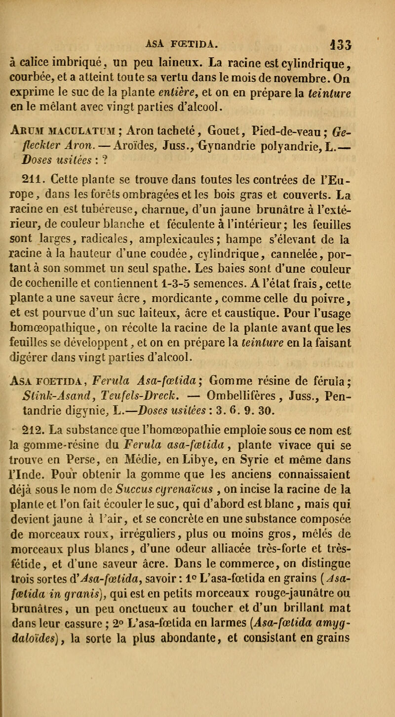 ASA FŒTIDA. J33 à calice imbriqué, un peu laineux. La racine est cylindrique, courbée, et a atteint toute sa vertu dans le mois de novembre. On exprime le suc de la plante entière, et on en prépare la teinture en le mêlant avec vingt parties d'alcool. Arum maculatu.m ; Aron tacheté, Gouet, Pied-de-veau ; Ge- fleckter Aron. — Aroides, Juss., Gynandrie polyandrie, L.— Doses usitées : ? 211. Cette plante se trouve dans toutes les contrées de l'Eu- rope , dans les forêts ombragées et les bois gras et couverts. La racine en est tubéreuse, charnue, d'un jaune brunâtre à l'exté- rieur, de couleur blanche et féculente à l'intérieur ; les feuilles sont larges, radicales, amplexicaules; hampe s'élevant de la racine à la hauteur d'une coudée, cylindrique, cannelée, por- tant à son sommet un seul spathe. Les baies sont d'une couleur de cochenille et contiennent 1-3-5 semences. A l'état frais, cette plante a une saveur acre, mordicante, comme celle du poivre, et est pourvue d'un suc laiteux, acre et caustique. Pour l'usage homœopathique, on récolte la racine de la plante avant que les feuilles se développent ;, et on en prépare la teinture en la faisant digérer dans vingt parties d'alcool. AsAFOETiDA, Ferula Asa-fœtida; Gomme résine de féruia; Stink-Asand, Teufels-Dreck, — Ombellifères, Juss., Pen- tandrie digyniC;, L.—Doses usitées : 3. 6. 9. 30. âl2. La substance que l'homœopathie emploie sous ce nom est la gomme-résine du Ferula asa-fœtida, plante vivace qui se trouve en Perse, en Médie, en Libye, en Syrie et même dans l'Inde. Pour obtenir la gomme que les anciens connaissaient déjà sous le nom de Succus cyrenaïcus , on incise la racine de la plante et l'on fait écouler le suc, qui d'abord est blanc, mais qui devient jaune à Fair, et se concrète en une substance composée de morceaux roux, irréguliers, plus ou moins gros, mêlés de morceaux plus blancs, d'une odeur alliacée très-forte et très- fétide, et d'une saveur acre. Dans le commerce, on distingue trois sortes d'^sa-fœtida, savoir : 1° L'asa-fœtida en grains {^sa- fœtida in qranis), qui est en petits morceaux rouge-jaunâtre ou brunâtres, un peu onctueux au toucher et d'un brillant mat dans leur cassure ; 2° L'asa-fœtida en larmes [Asa-fœtida amyg- daloïdes), la sorte la plus abondante, et consistant en grains