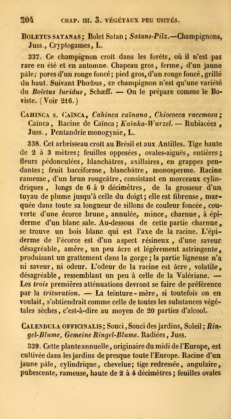 BOLETUS SATANAS ; Bolet Salan ; Salans-PUz.—Champignons, Juss., Cryptogames, L. 337. Ce champignon croît dans les forêts, où il n'est pas rare en été et en automne. Chapeau gros, ferme, d'un jaune pâle; pores d'un rouge foncé; pied gros, d'un rouge foncé, grillé du haut. Suivant Phœbus, ce champignon n'est qu'une variété du Bolelus luridus, Schfieff. — On le prépare comme le Bo- viste. (Voir 216.) Cahiîs'Ca s. Caïnca, Cahinca caïnanaf Chiococca racemosa; Caïnca, Racine de Caïnca ; Kaïnka-Wurzel. — Rubiacées , Juss., Penlandrie monogynie, L. 338. Cet arbrisseau croît au Brésil et aux Antilles. Tige haute de 2 à 3 mètres; feuilles opposées, ovales-aiguës, entières; fleurs pédonculées, blanchâtres, axillaires, en grappes pen- dantes; fruit bacciforme, blanchâtre, monosperme. Racine rameuse, d'un brun rougeâlre, consistant en morceaux cylin- driques , longs de 6 à 9 décimètres, de la grosseur d'ua tuyau de plume jusqu'à celle du doigt ; elle est fibreuse, mar- quée dans toute sa longueur de sillons de couleur foncée, cou- verte d'une écorce brune, annulée, mince, charnue, à épi- derme d'un blanc sale. Au-dessous de cette partie charnue , se trouve un bois blanc qui est l'axe de la racine. L'épi- derme de l'écorce est d'un aspect résineux , d'une saveur désagréable, amère, un peu acre et légèrement astringente, produisant un grattement dans la gorge ; la partie ligneuse n'a ni saveur, ni odeur. L'odeur de la racine est acre, volatile, désagréable, ressemblant un peu à celle de la Valériane. — Les trois premières atténuations devront se faire de préférence par la trituration. — La teinture-mère, si toutefois on en voulait, s'obtiendrait comme celle de toutes les substances végé- tales sèches, c'est-à-dire au moyen de 20 parties d'alcool. Calendula officinalis ; Souci, Souci des jardins. Soleil ; Bin- gel'Blume, GemeineRingel-Blume. Radiées, Juss. 339. Cette planteannuelle, originaire du midi de l'Europe, est cultivée dans les jardins de presque toute l'Europe. Racine d'un jaune pâle, cylindrique, chevelue; tige redressée, angulaire, pubescente, rameuse, haute de 2 à 4 décimètres ; feuilles ovales