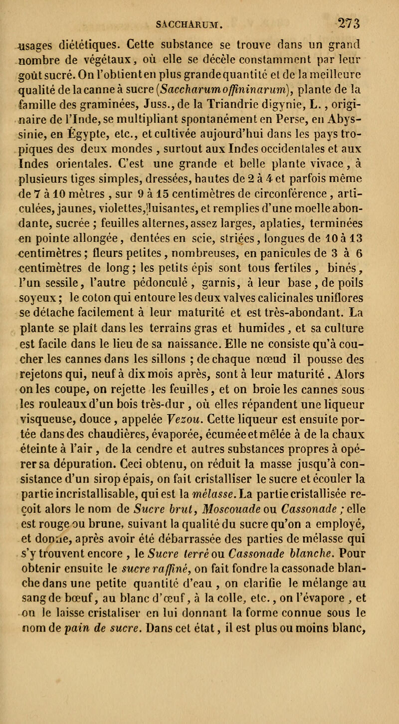 jusages diététiques. Cette substance se trouve dans un grand nombre de végétaux, où elle se décèle constamment par leur goût sucré. On l'obtient en plus grande quantité et de la meilleure qualité de la canne à sucre (5accftarMmo^mî?anmi), plante de la famille des graminées, Juss.,de la Triandrie digynie, L., origi- naire de l'Inde, se multipliant spontanément en Perse, en Abys- sinie, en Egypte, etc., et cultivée aujourd'hui dans les pays tro- piques des deux mondes , surtout aux Indes occidentales et aux Indes orientales. C'est une grande et belle plante vivace, à plusieurs liges simples, dressées, hautes de 2 à 4 et parfois même de 7 à 10 mètres , sur 9 à 15 centimètres de circonférence , arti- culées, jaunes, violettes,puisantes, et remplies d'une moelle abon- dante, sucrée ; feuilles alternes, assez larges, aplaties, terminées en pointe allongée, dentées en scie, striées, longues de 10 à 13 centimètres ; fleurs petites, nombreuses, en panicules de 3 à 6 centimètres de long; les petits épis sont tous fertiles, binés, l'un sessile, l'autre pédoncule, garnis, à leur base, de poils soyeux ; le coton qui entoure les deux valves calicinales uniflores se détache facilement à leur maturité et est très-abondant. La plante se plaît dans les terrains gras et humides, et sa culture est facile dans le lieu de sa naissance. Elle ne consiste qu'à cou- cher les cannes dans les sillons ; de chaque nœud il pousse des rejetons qui, neuf à dix mois après, sont à leur maturité . Alors on les coupe, on rejette les feuilles, et on broie les cannes sous les rouleaux d'un bois très-dur, où elles répandent une liqueur visqueuse, douce, appelée Vezou. Cette liqueur est ensuite por- tée dans des chaudières, évaporée, écumée et mêlée à de la chaux éteinte à l'air, de la cendre et autres substances propres à opé- rer sa dépuration. Ceci obtenu, on réduit la masse jusqu'à con- sistance d'un sirop épais, on fait cristalliser le sucre et écouler la partie incristallisable, qui est la mélasse.Ldi partie cristallisée re- çoit alors le nom de Sucre brut, Moscouade ou Cassonade ; elle est rouge ou brune, suivant la qualité du sucre qu'on a employé, et donne, après avoir été débarrassée des parties de mélasse qui s'y trouvent encore , le Sucre terré ou. Cassonade Manche. Pour obtenir ensuite le sucre raffiné, on fait fondre la cassonade blan- che dans une petite quantité d'eau , on clarifie le mélange au sang de bœuf, au blanc d'œuf, à la colle, etc., on l'évaporé , et on le laisse cristaliser en lui donnant la forme connue sous le nom de pain de sucre. Dans cet état, il est plus ou moins blanc,