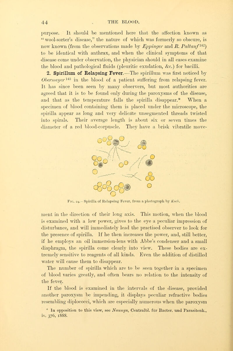 purpose. It should be mentioned here that the affection known as  wool-sorter's disease, the nature of which was formerly so obscure, is now known (from the observations made by Eppinger and R. Paltaufu'2) to be identical with anthrax, and when the clinical symptoms of that disease come under observation, the physician should in all cases examine the blood and pathological fluids (pleuritic exudation, &c.) for bacilli. 2. Spirillum of Relapsing Fever.—The spirillum was first noticed by Obermeyer143 in the blood of a patient suffering from relapsing fever. It has since been seen by many observers, but most authorities are agreed that it is to be found only during the paroxysms of the disease, and that as the temperature falls the spirilla disappear.* When a specimen of blood containing them is placed under the microscope, the spirilla appear as long and very delicate unsegmented threads twisted into spirals. Their average length is about six or seven times the diameter of a red blood-corpuscle. They have a brisk vibratile move- O0 / I w ^—^^ ^ ^-N^-^^C & #%|® O 'ig. 24.— Spii •ilia of Relapsing Fever, from a photograph, by Koch ment in the direction of their long axis. This motion, when the blood is examined with a low power, gives to the eye a peculiar impression of disturbance, and wdl immediately lead the practised observer to look for the presence of spirilla. If he then increases the power, and, still better, if he employs an oil immersion-lens with Abbe's condenser and a small diaphragm, the spirilla come clearly into view. These bodies are ex- tremely sensitive to reagents of all kinds. Even the addition of distilled water will cause them to disappear. The number of spirilla which are to be seen together in a specimen of blood varies greatly, and often bears no relation to the intensity of the fever. If the blood is examined in the intervals of the disease, provided another paroxysm be impending, it displays peculiar refractive bodies resembling cliplococci, which are especially numerous when the paroxysm * In opposition to this view, see Naunyn, Centralbl. ftir Bacter. und Parasitenk., iv. 376, 1888.