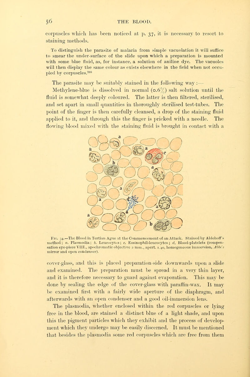 corpuscles which has been noticed at p. 37, it is necessary to resort to staining methods. To distinguish the parasite of malaria from simple vacuolation it will suffice to smear the under-surface of the slide upon which a preparation is mounted with some blue fluid, as, for instance, a solution of aniline dye. The vacuoles will then display the same colour as exists elsewhere in the field when not occu- pied by corpuscles.203 The parasite may be suitably stained in the following way :— Methylene-blue is dissolved in normal (0.6%) salt solution until the fluid is somewhat deeply coloured. The latter is then filtered, sterilised, and set apart in small quantities in thoroughly sterilised test-tubes. The point of the finger is then carefully cleansed, a drop of the staining fluid applied to it, and through this the finger is pricked with a needle. The flowing blood mixed with the staining fluid is brought in contact with a Fig. 34.—The Blood in Tertian Ague at the Commencement of an Attack. Stained by Aldehoff's method; a. Plasmodia; b. Leucocytes; c. Eosinophil-leucocytes ; d. Blood-platelets (compen- sation eye-piece VIII., apochromatic objective 2 mm., aperfc. 1.40, homogeneous immersion, Abbe's mirror and open condenser). cover-glass, and this is placed preparation-side downwards upon a slide and examined. The preparation must be spread in a very thin layer, and it is therefore necessary to guard against eATaporation. This may be done by sealing the edge of the cover-glass with paraffin-wax. It may be examined first with a fairly wide aperture of the diaphragm, and afterwards with an open condenser and a good oil-immersion lens. The plasmodia, Avhether enclosed within the red corpuscles or lying free in the blood, are stained a distinct blue of a light shade, and upon this the pigment particles Avhich they exhibit and the process of develop- ment which they undergo may be easily discerned. It must be mentioned that besides the plasmodia some red corpuscles which are free from them