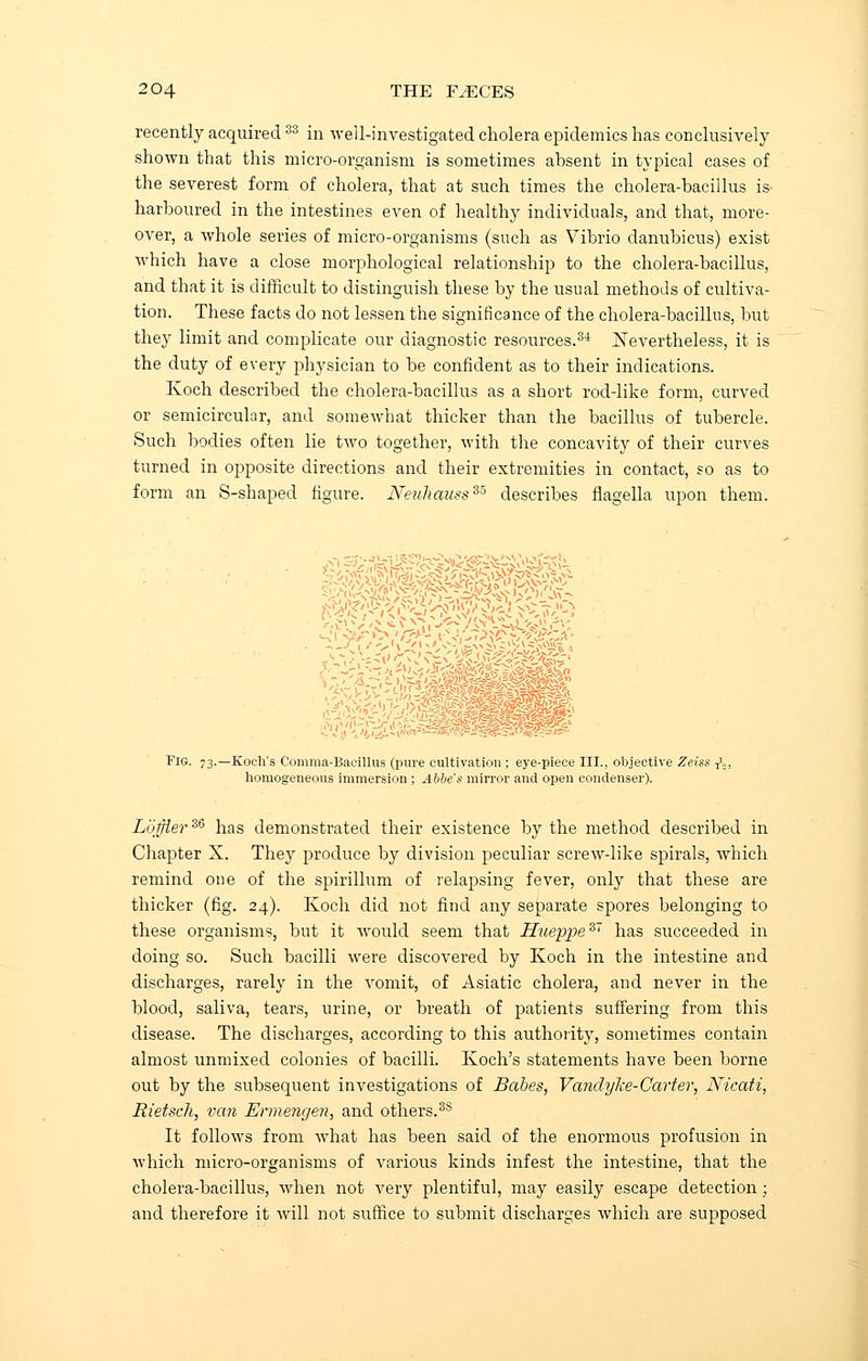 recently acquired33 in well-investigated cholera epidemics has conclusively shown that this micro-organism is sometimes absent in typical cases of the severest form of cholera, that at such times the cholera-bacillus is harboured in the intestines even of healthy individuals, and that, more- over, a whole series of micro-organisms (such as Vibrio danubicus) exist which have a close morphological relationship to the cholera-bacillus, and that it is difficult to distinguish these by the usual methods of cultiva- tion. These facts do not lessen the significance of the cholera-bacillus, but they limit and complicate our diagnostic resources.34 Nevertheless, it is the duty of every physician to be confident as to their indications. Koch described the cholera-bacillus as a short rod-like form, curved or semicircular, and somewhat thicker than the bacillus of tubercle. Such bodies often lie two together, with the concavity of their curves turned in opposite directions and their extremities in contact, so as to form an S-shaped figure. Netihauss35 describes flagella upon them. Fig. 73.—Koch's Comma-Bacillus (pure cultivation ; eye-piece III., objective Zeiss ^,, homogeneous immersion ; Abbe's mirror and open condenser). Loffler36 has demonstrated their existence by the method described in Chapter X. They produce by division peculiar screw-like spirals, which remind one of the spirillum of relapsing fever, only that these are thicker (fig. 24). Koch did not find any separate spores belonging to these organisms, but it would seem that Hueppe37 has succeeded in doing so. Such bacilli were discovered by Koch in the intestine and discharges, rarely in the vomit, of Asiatic cholera, and never in the blood, saliva, tears, urine, or breath of patients suffering from this disease. The discharges, according to this authority, sometimes contain almost unmixed colonies of bacilli. Koch's statements have been borne out by the subsequent investigations of Babes, Vandyke-Carter, Nicati, Rietsch, van Ermengen, and others.3S It follows from what has been said of the enormous profusion in which micro-organisms of various kinds infest the intestine, that the cholera-bacillus, when not very plentiful, may easily escape detection; and therefore it will not suffice to submit discharges which are supposed