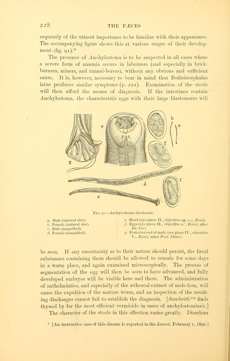 sequently of the utmost importance to be familiar with their appearance. The accompanying figure shows this at various stages of their develop- ment (fig. 91).* The presence of Anchylostoma is to be suspected in all cases where a severe form of anaemia occurs in labourers (and especially in brick- burners, miners, and tunnel-borers), without any, obvious and sufficient cause. It is, however, necessary to bear in mind that Bothriocephalus latus produces similar symptoms (p. 221). Examination of the stools will then afford the means of diagnosis. If the intestines contain Anchylostoma, the characteristic eggs with their large blastomeres will Fig. 91.—Anchylostoma duodeoale. a. Male (natural size). 6. Female (natural size). e. Male (magnified). d. Female (magnified). Head (eye-piece II., objective ap. 0.3, Zeiss). Eggs (eye-piece II., objective a* Zeiss), after Dr. Cori. Posterior end of male (eye-piece IV., objective V., Zeiss), after Prof. Chiari. be seen. If any uncertainty as to their nature should persist, the faecal substances containing them should be allowed to remain for some days in a warm place, and again examined microscopically. The process of segmentation of the egg will then be seen to have advanced, and fully developed embryos will be visible here and there. The administration of anthelmintics, and especially of the sethereal extract of male-fern, will cause the expulsion of the mature worm, and an inspection of the result- ing discharges cannot fail to establish the diagnosis. [Sandivith15S finds thymol by far the most efficient vermicide in cases of anchylostomiasis.] The character of the stools in this affection varies greatly. Diarrhoea [An instructive case of this disease is reported in the Lancet, February 1, 1890.]