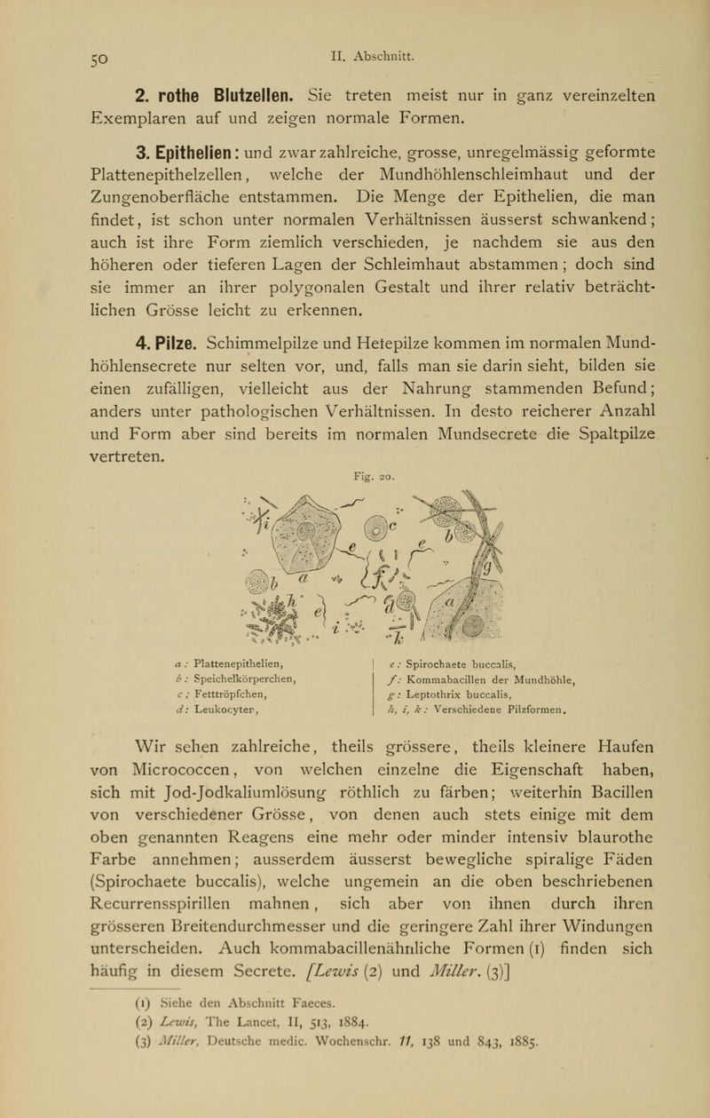 2. rothe Blutzellen. Sie treten meist nur in ganz vereinzelten Exemplaren auf und zeigen normale Formen. 3. Epithelien: und zwar zahlreiche, grosse, unregelmässig geformte Plattenepithelzellen, welche der Mundhöhlenschleimhaut und der Zungenoberfläche entstammen. Die Menge der Epithelien, die man findet, ist schon unter normalen Verhältnissen äusserst schwankend; auch ist ihre Form ziemlich verschieden, je nachdem sie aus den höheren oder tieferen Lagen der Schleimhaut abstammen ; doch sind sie immer an ihrer polygonalen Gestalt und ihrer relativ beträcht- lichen Grösse leicht zu erkennen. 4. Pilze. Schimmelpilze und Hetepilze kommen im normalen Mund- höhlensecrete nur selten vor, und, falls man sie darin sieht, bilden sie einen zufälligen, vielleicht aus der Nahrung stammenden Befund; anders unter pathologischen Verhältnissen. In desto reicherer Anzahl und Form aber sind bereits im normalen Mundsecrete die Spaltpilze vertreten. Fig. 20. a ; Plattenepithelial!, b : Speichelkörperchen, c ; Fetttröpfchen, d: Leukocyter, e; Spirochaete buccalis, f: Kommabacillen der Mundhöhle, g: Leptothrix buccalis, h, i, k: Verschiedene Pilzformen. Wir sehen zahlreiche, theils grössere, theils kleinere Haufen von Micrococcen, von welchen einzelne die Eigenschaft haben, sich mit Jod-Jodkaliumlösung röthlich zu färben; weiterhin Bacillen von verschiedener Grösse, von denen auch stets einige mit dem oben genannten Reagens eine mehr oder minder intensiv blaurothe Farbe annehmen; ausserdem äusserst bewegliche spiralige Fäden (Spirochaete buccalis), welche ungemein an die oben beschriebenen Recurrensspirillen mahnen, sich aber von ihnen durch ihren grösseren Breitendurchmesser und die geringere Zahl ihrer Windungen unterscheiden. Auch kommabacillenähnliche Formen (i) finden sich häufig in diesem Secrete. [Lewis (2) und Miller. (3)] (1) Siehe den Abschnitt Faeces. (2) Lewis, The Lancet, II, 513, 1884. (3) Miller, I 1 media Wochenschr. 77, 138 und 843, 1885.