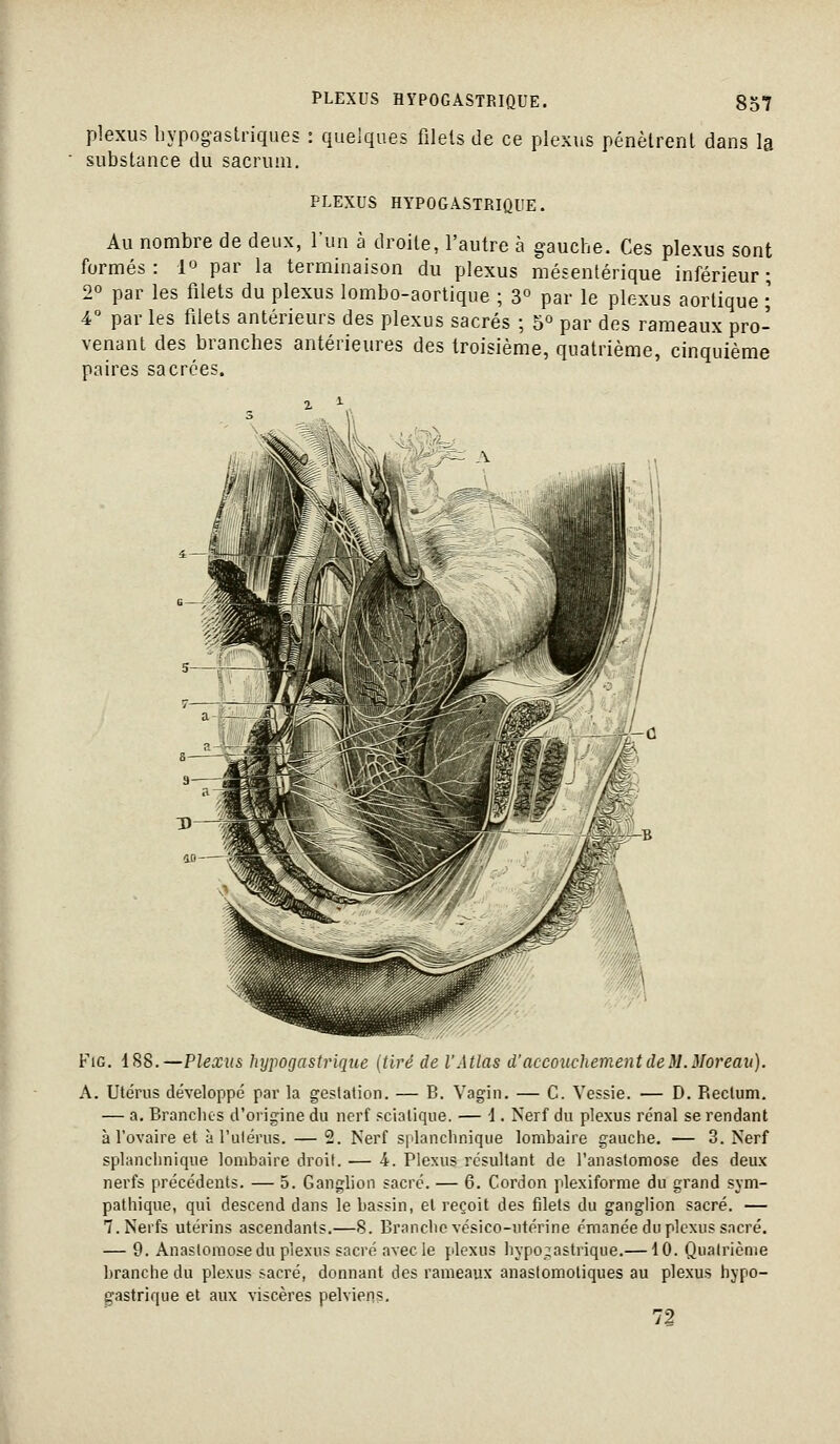 plexus hypogastriques : quelques filets de ce plexus pénètrent dans la substance du sacrum. PLEXUS HYPOGASTRIQUE. Au nombre de deux, l'un à droite, l'autre à gauche. Ces plexus sont formés: l^ par la terminaison du plexus mésentérique inférieur; 2° par les filets du plexus lombo-aortique ; 3° par le plexus aortique ; 4° par les filets antérieurs des plexus sacrés ; 5° par des rameaux pro- venant des branches antérieures des troisième, quatrième, cinquième paires sacrées. FiG. 188.—Plexus hypogastrique (tiré de l'Atlas d'accouchement de M. Moreau). A. Utérus développé par la geslation, — B. Vagin. — C. Vessie. — D. Rectum. — a. Branches d'origine du nerf scialique. — i . Nerf du plexus rénal se rendant à l'ovaire et à l'ulérus. — 2. Nerf splanchniqiie lombaire gauche. — 3. Nerf splanchnique lombaire droit. — 4. Plexus résultant de l'anastomose des deux nerfs précédents. — 5. Ganglion sacré. — 6. Cordon plexiforme du grand sym- pathique, qui descend dans le bassin, et reçoit des filets du ganglion sacré. — 7. Nerfs utérins ascendants.—8. Branclio vésico-utérine émanée du plexus sacré. — 9. Anastomose du plexus sacré avecie plexus ]iypo_;astrique.—10. Qualrième branche du plexus sacré, donnant des rameaux anasiomotiques au plexus hypo- gastrique et aux viscères pelviens. 72