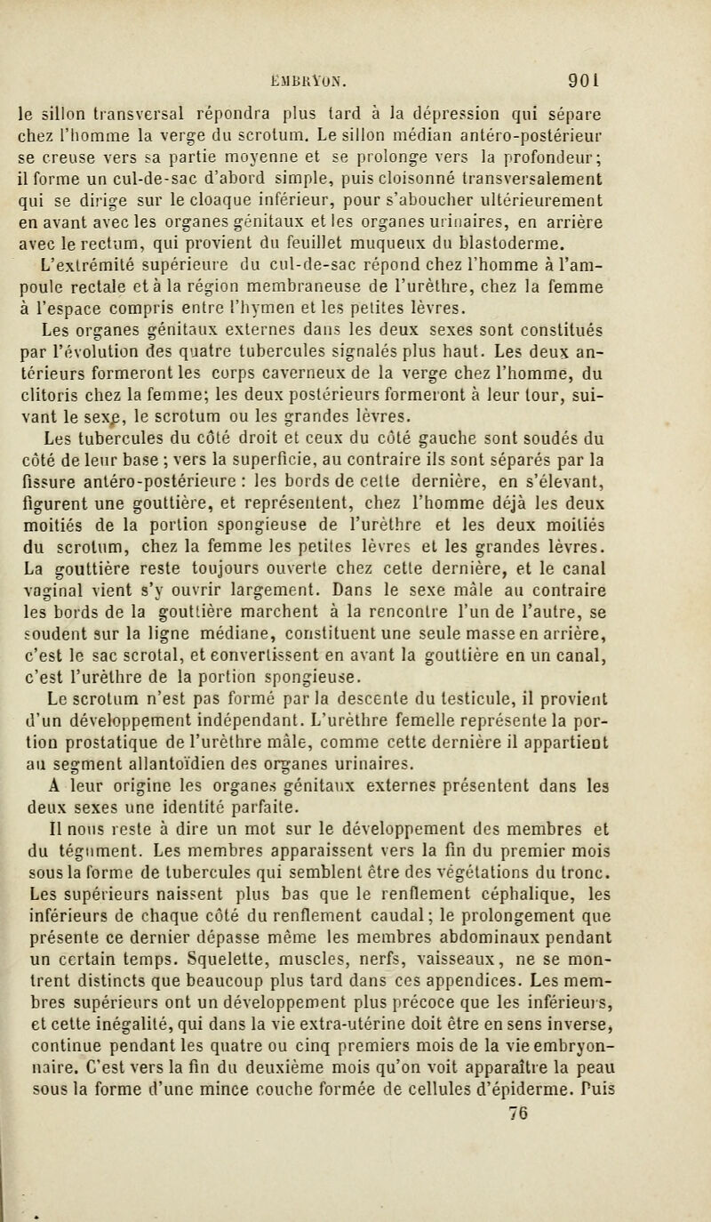 le sillon transversal répondra plus lard à la dépression qui sépare chez l'homme la verge du scrotum. Le sillon médian antéro-postérieur se creuse vers sa partie moyenne et se prolonge vers la profondeur; il forme un cul-de-sac d'abord simple, puis cloisonné transversalement qui se dirige sur le cloaque inférieur, pour s'aboucher ultérieurement en avant avec les organes génitaux et les organes uiiiiaires, en arrière avec le rectum, qui provient du feuillet muqueux du blastoderme. L'extrémité supérieure du cul-de-sac répond chez l'homme à l'am- poule rectale et à la région membraneuse de l'urèthre, chez la femme à l'espace compris entre l'hymen et les petites lèvres. Les organes génitaux externes dans les deux sexes sont constitués par l'évolution des quatre tubercules signalés plus haut. Les deux an- térieurs formeront les corps caverneux de la verge chez l'homme, du clitoris chez la femme; les deux postérieurs formeront à leur tour, sui- vant le sex^, le scrotum ou les grandes lèvres. Les tubercules du côté droit et ceux du côté gauche sont soudés du côté de leur base ; vers la superficie, au contraire ils sont séparés par la fissure antéro-postérieure : les bords de celte dernière, en s'élevant, figurent une gouttière, et représentent, chez l'homme déjà les deux moitiés de la portion spongieuse de l'urèthre et les deux moitiés du scrotum, chez la femme les petites lèvres et les grandes lèvres. La gouttière reste toujours ouverte chez celle dernière, et le canal vaginal vient s'y ouvrir largement. Dans le sexe mâle au contraire les bords de la gouttière marchent à la rencontre l'un de l'autre, se soudent sur la ligne médiane, constituent une seule masse en arrière, c'est le sac scrotal, et convertissent en avant la gouttière en un canal, c'est l'urèthre de la portion spongieuse. Le scrotum n'est pas formé parla descente du testicule, il provicfit d'un développement indépendant. L'urèthre femelle représente la por- tion prostatique de l'urèthre mâle, comme cette dernière il appartient au segment allantoïdien des organes urinaires. A leur origine les organes génitaux externes présentent dans les deux sexes une identité parfaite. Il nous reste à dire un mot sur le développement des membres et du tégument. Les membres apparaissent vers la fin du premier mois sous la forme de tubercules qui semblent être des végétations du tronc. Les supérieurs naissent plus bas que le renflement céphalique, les inférieurs de chaque côté du renflement caudal; le prolongement que présente ce dernier dépasse même les membres abdominaux pendant un certain temps. Squelette, muscles, nerfs, vaisseaux, ne se mon- trent distincts que beaucoup plus tard dans ces appendices. Les mem- bres supérieurs ont un développement plus précoce que les inférieuis, et cette inégalité, qui dans la vie extra-utérine doit être en sens inverse^ continue pendant les quatre ou cinq premiers mois de la vie embryon- naire. C'est vers la fin du deuxième mois qu'on voit apparaître la peau sous la forme d'une mince couche formée de cellules d'épiderme. Puis 76