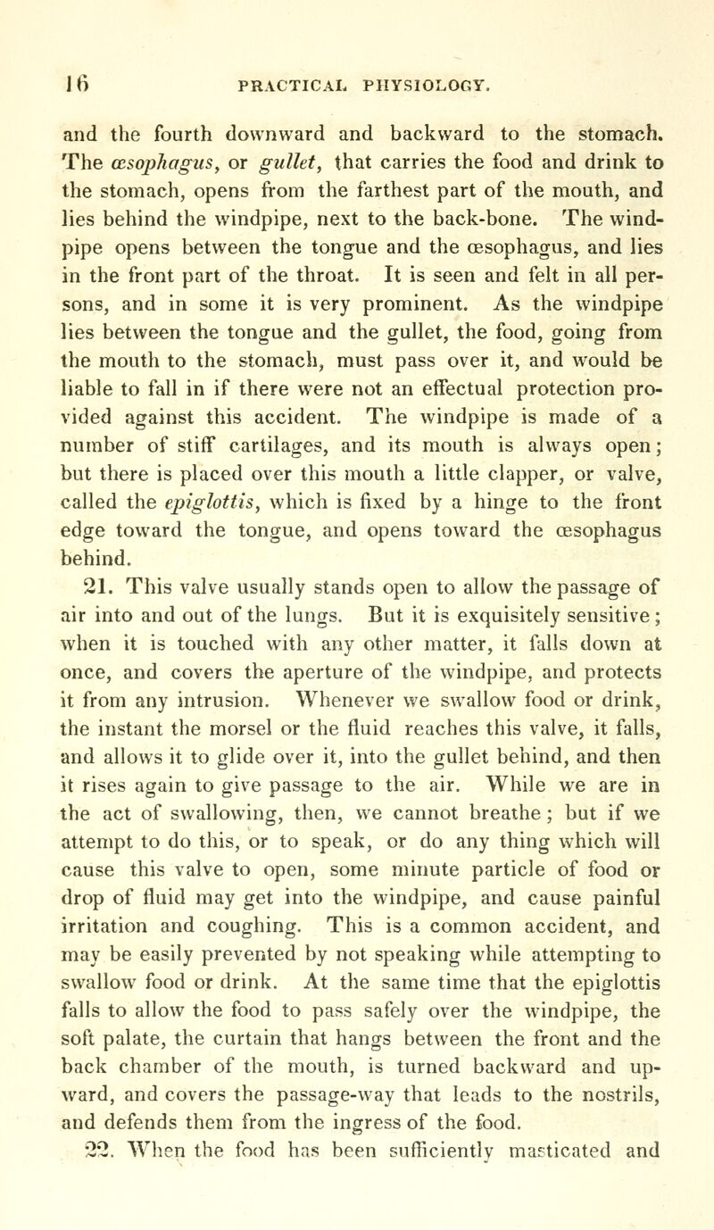 and the fourth downward and backward to the stomach. The (Esophagus^ or gullet, that carries the food and drink to the stomach, opens from the farthest part of the mouth, and lies behind the windpipe, next to the back-bone. The wind- pipe opens between the tongue and the oesophagus, and lies in the front part of the throat. It is seen and felt in all per- sons, and in some it is very prominent. As the windpipe lies between the tongue and the gullet, the food, going from the mouth to the stomach, must pass over it, and would be liable to fall in if there were not an effectual protection pro- vided against this accident. The windpipe is made of a number of stiff cartilages, and its mouth is always open; but there is placed over this mouth a little clapper, or valve, called the epiglottis, which is fixed by a hinge to the front edge toward the tongue, and opens toward the oesophagus behind. 21. This valve usually stands open to allow the passage of air into and out of the lungs. But it is exquisitely sensitive ; when it is touched with any other matter, it falls down at once, and covers the aperture of the windpipe, and protects it from any intrusion. Whenever we swallow food or drink, the instant the morsel or the fluid reaches this valve, it falls, and allows it to glide over it, into the gullet behind, and then it rises again to give passage to the air. While we are in the act of swallowing, then, we cannot breathe; but if we attempt to do this, or to speak, or do any thing which will cause this valve to open, some minute particle of food or drop of fluid may get into the windpipe, and cause painful irritation and coughing. This is a common accident, and may be easily prevented by not speaking while attempting to swallow food or drink. At the same time that the epiglottis falls to allow the food to pass safely over the windpipe, the soft palate, the curtain that hangs between the front and the back chamber of the mouth, is turned backward and up- ward, and covers the passage-way that leads to the nostrils, and defends them from the ingress of the food. •3*2. When the food has been sufficiently masticated and