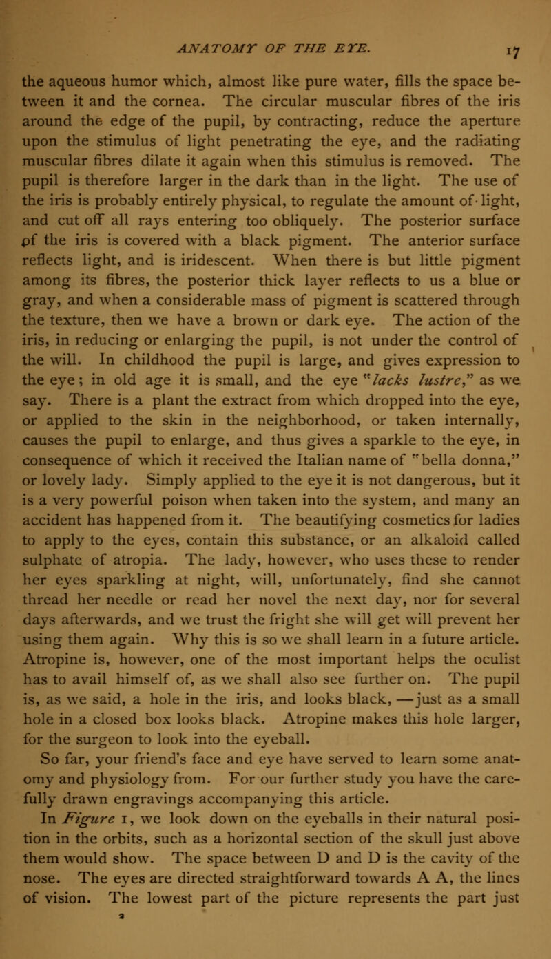 the aqueous humor which, almost like pure water, fills the space be- tween it and the cornea. The circular muscular fibres of the iris around the edge of the pupil, by contracting, reduce the aperture upon the stimulus of light penetrating the eye, and the radiating muscular fibres dilate it again when this stimulus is removed. The pupil is therefore larger in the dark than in the light. The use of the iris is probably entirely physical, to regulate the amount of- light, and cut off all rays entering too obliquely. The posterior surface pf the iris is covered with a black pigment. The anterior surface reflects light, and is iridescent. When there is but little pigment among its fibres, the posterior thick layer reflects to us a blue or gray, and when a considerable mass of pigment is scattered through the texture, then we have a brown or dark eye. The action of the iris, in reducing or enlarging the pupil, is not under the control of the will. In childhood the pupil is large, and gives expression to the eye; in old age it is small, and the eye lacks lustre as we say. There is a plant the extract from which dropped into the eye, or applied to the skin in the neighborhood, or taken internally, causes the pupil to enlarge, and thus gives a sparkle to the eye, in consequence of which it received the Italian name of bella donna, or lovely lady. Simply applied to the eye it is not dangerous, but it is a very powerful poison when taken into the system, and many an accident has happened from it. The beautifying cosmetics for ladies to apply to the eyes, contain this substance, or an alkaloid called sulphate of atropia. The lady, however, who uses these to render her eyes sparkling at night, will, unfortunately, find she cannot thread her needle or read her novel the next day, nor for several days afterwards, and we trust the fright she will get will prevent her using them again. Why this is so we shall learn in a future article. Atropine is, however, one of the most important helps the oculist has to avail himself of, as we shall also see further on. The pupil is, as we said, a hole in the iris, and looks black, —just as a small hole in a closed box looks black. Atropine makes this hole larger, for the surgeon to look into the eyeball. So far, your friend's face and eye have served to learn some anat- omy and physiology from. For our further study you have the care- fully drawn engravings accompanying this article. In Figure 1, we look down on the eyeballs in their natural posi- tion in the orbits, such as a horizontal section of the skull just above them would show. The space between D and D is the cavity of the nose. The eyes are directed straightforward towards A A, the lines of vision. The lowest part of the picture represents the part just