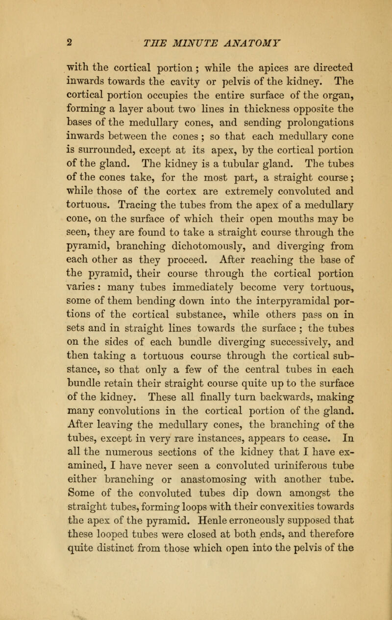 with the cortical portion ; while the apices are directed inwards towards the cavity or pelvis of the kidney. The cortical portion occupies the entire surface of the organ, forming a layer about two lines in thickness opposite the bases of the medullary cones, and sending prolongations inwards between the cones ; so that each medullary cone is surrounded, except at its apex, by the cortical portion of the gland. The kidney is a tubular gland. The tubes of the cones take, for the most part, a straight course; while those of the cortex are extremely convoluted and tortuous. Tracing the tubes from the apex of a medullary cone, on the surface of which their open mouths may be seen, they are found to take a straight course through the pyramid, branching dichotomously, and diverging from each other as they proceed. After reaching the base of the pyramid, their course through the cortical portion varies : many tubes immediately become very tortuous, some of them bending down into the interpyramidal por- tions of the cortical substance, while others pass on in sets and in straight lines towards the surface ; the tubes on the sides of each bundle diverging successively, and then taking a tortuous course through the cortical sub- stance, so that only a few of the central tubes in each bundle retain their straight course quite up to the surface of the kidney. These all finally turn backwards, making many convolutions in the cortical portion of the gland. After leaving the medullary cones, the branching of the tubes, except in very rare instances, appears to cease. In all the numerous sections of the kidney that I have ex- amined, I have never seen a convoluted uriniferous tube either branching or anastomosing with another tube. Some of the convoluted tubes dip down amongst the straight tubes, forming loops with their convexities towards the apex of the pyramid. Henle erroneously supposed that these looped tubes were closed at both ends, and therefore quite distinct from those which open into the pelvis of the