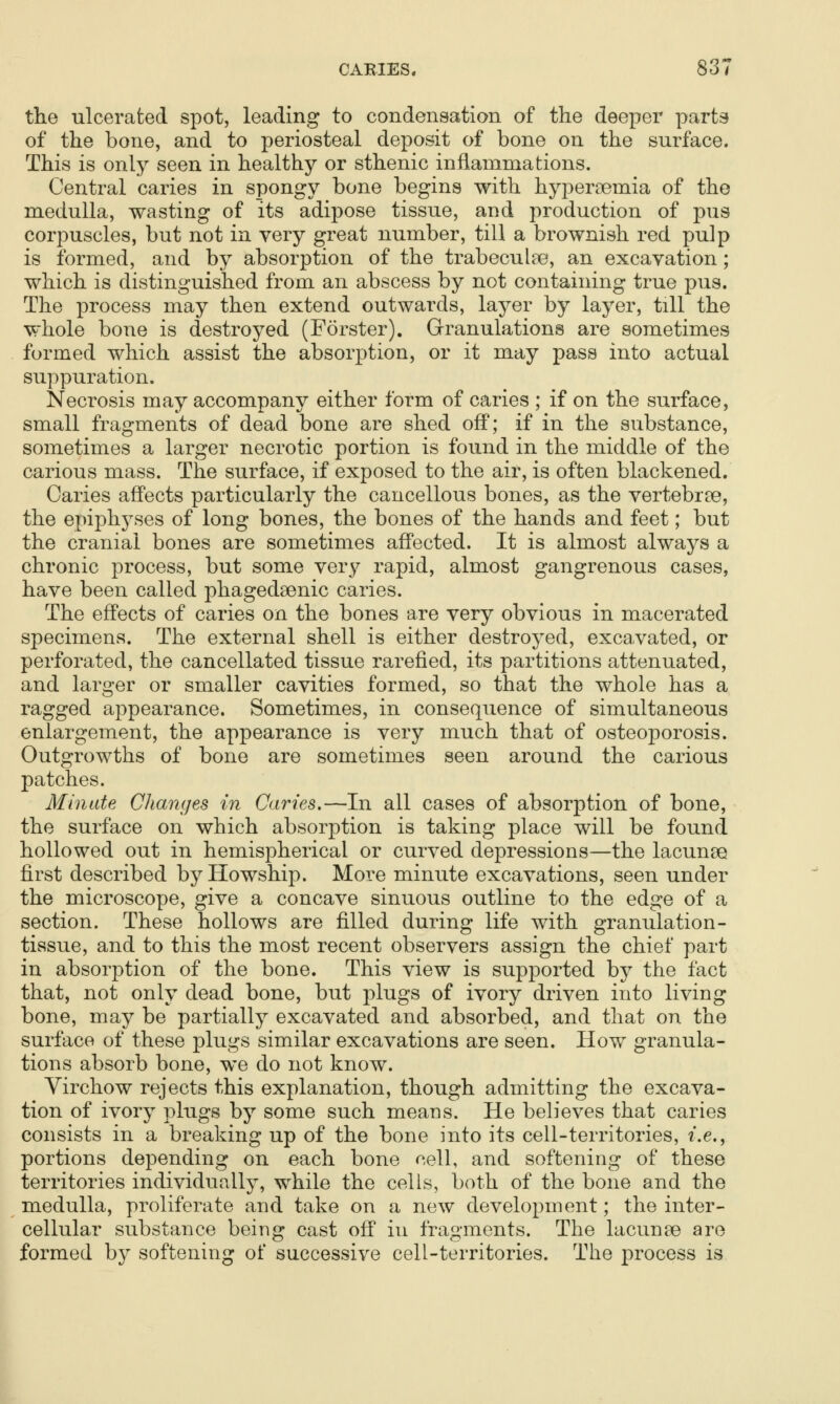 the ulcerated spot, leading to condensation of the deeper part9 of the bone, and to periosteal deposit of bone on the surface. This is only seen in healthy or sthenic inflammations. Central caries in spongy bone begins with hypersemia of the medulla, wasting of its adipose tissue, and production of pus corpuscles, but not in very great number, till a brownish red pulp is formed, and by absorption of the trabecule©, an excavation; which is distinguished from an abscess by not containing true pus. The process may then extend outwards, layer by layer, till the whole bone is destroyed (Forster). Granulations are sometimes formed which assist the absorption, or it may pass into actual su])puration. Necrosis may accompany either form of caries ; if on the surface, small fragments of dead bone are shed off; if in the substance, sometimes a larger necrotic portion is found in the middle of the carious mass. The surface, if exposed to the air, is often blackened. Caries affects particularly the cancellous bones, as the vertebrce, the epiphyses of long bones, the bones of the hands and feet; but the cranial bones are sometimes affected. It is almost always a chronic process, but some very rapid, almost gangrenous cases, have been called phagedsenic caries. The effects of caries on the bones are very obvious in macerated specimens. The external shell is either destroyed, excavated, or perforated, the cancellated tissue rarefied, its partitions attenuated, and larger or smaller cavities formed, so that the whole has a ragged appearance. Sometimes, in consequence of simultaneous enlargement, the appearance is very much that of osteoj)orosis. Outgrowths of bone are sometimes seen around the carious patches. Minute Changes in Caries.—In all cases of absorption of bone, the surface on which absorption is taking place will be found hollowed out in hemispherical or curved depressions—the lacunae first described byHowship. More minute excavations, seen under the microscope, give a concave sinuous outline to the edge of a section. These hollows are filled during life with granulation- tissue, and to this the most recent observers assign the chief part in absorption of the bone. This view is supported by the fact that, not only dead bone, but plugs of ivory driven into living bone, may be partially excavated and absorbed, and that on the surface of these plugs similar excavations are seen. How granula- tions absorb bone, we do not know. Virchow rejects this explanation, though admitting the excava- tion of ivory plugs by some such means. He believes that caries consists in a breaking up of the bone into its cell-territories, i.e., portions depending on each bone cell, and softening of these territories individually, while the cells, both of the bone and the medulla, proliferate and take on a new development; the inter- cellular substance being cast off in fragments. The lacunae are formed by softening of successive cell-territories. The process is