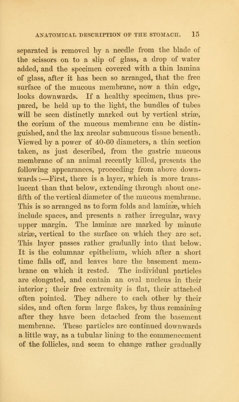 separated is removed by a needle from the blade of the scissors on to a slip of glass, a drop of water added, and the specimen covered with a thin lamina of glass, after it has been so arranged, that the free surface of the mucous membrane, now a thin edge, looks downwards. If a healthy specimen, thus pre- pared, be held up to the light, the bundles of tubes will be seen distinctly marked out by vertical striae, the corium of the mucous membrane can be distin- guished, and the lax areolar submucous tissue beneath. Viewed by a power of 40-60 diameters, a thin section taken, as just described, from the gastric mucous membrane of an animal recently killed, presents the following appearances, proceeding from above down- wards :—First, there is a layer, which is more trans- lucent than that below, extending through about one- fifth of the vertical diameter of the mucous membrane. This is so arranged as to form folds and laminae, which include spaces, and presents a rather irregular, wavy upper margin. The laminae are marked by minute striae, vertical to the surface on which they are set. This layer passes rather gradually into that below. It is the columnar epithelium, which after a short time falls off, and leaves bare the basement mem- brane on which it rested. The individual particles are elongated, and contain an oval nucleus in their interior; their free extremity is flat, their attached often pointed. They adhere to each other by their sides, and often form large flakes, by thus remaining after they have been detached from the basement membrane. These particles are continued downwards a little way, as a tubular lining to the commencement of the follicles, and seem to change rather gradually
