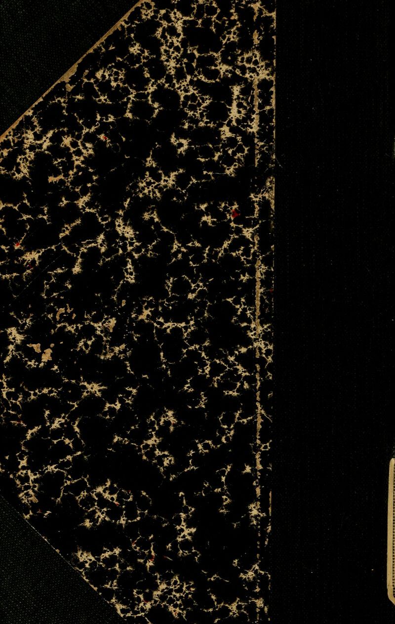 •'rfk r^vism-izrm .■** \ ^ l .: ■ ST : W.£>