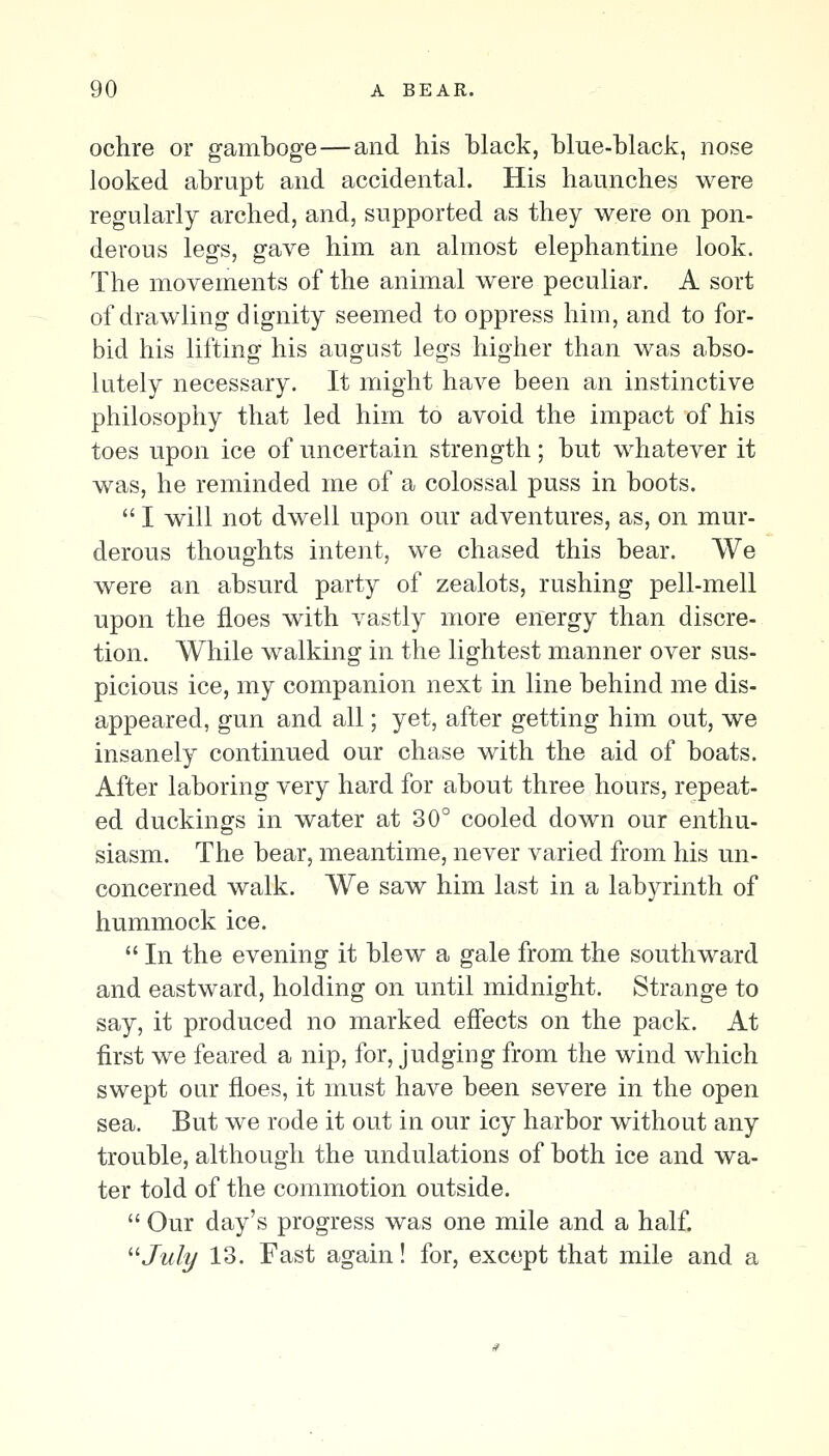 ochre or gamboge—and his black, blue-black, nose looked abrupt and accidental. His haunches were regularly arched, and, supported as they were on pon- derous legs, gave him an almost elephantine look. The movements of the animal were peculiar. A sort of drawling dignity seemed to oppress him, and to for- bid his lifting his august legs higher than was abso- lutely necessary. It might have been an instinctive philosophy that led him to avoid the impact of his toes upon ice of uncertain strength; but whatever it was, he reminded me of a colossal puss in boots.  I will not dwell upon our adventures, as, on mur- derous thoughts intent, we chased this bear. We were an absurd party of zealots, rushing pell-mell upon the floes with vastly more energy than discre- tion. While walking in the lightest manner over sus- picious ice, my companion next in line behind me dis- appeared, gun and all; yet, after getting him out, we insanely continued our chase with the aid of boats. After laboring very hard for about three hours, repeat- ed duckings in water at 30° cooled down our enthu- siasm. The bear, meantime, never varied from his un- concerned walk. We saw him last in a labyrinth of hummock ice.  In the evening it blew a gale from the southward and eastward, holding on until midnight. Strange to say, it produced no marked effects on the pack. At first we feared a nip, for, judging from the wind which swept our floes, it must have been severe in the open sea. But we rode it out in our icy harbor without any trouble, although the undulations of both ice and wa- ter told of the commotion outside.  Our day's progress was one mile and a half. '•'■July 13. Fast again! for, except that mile and a