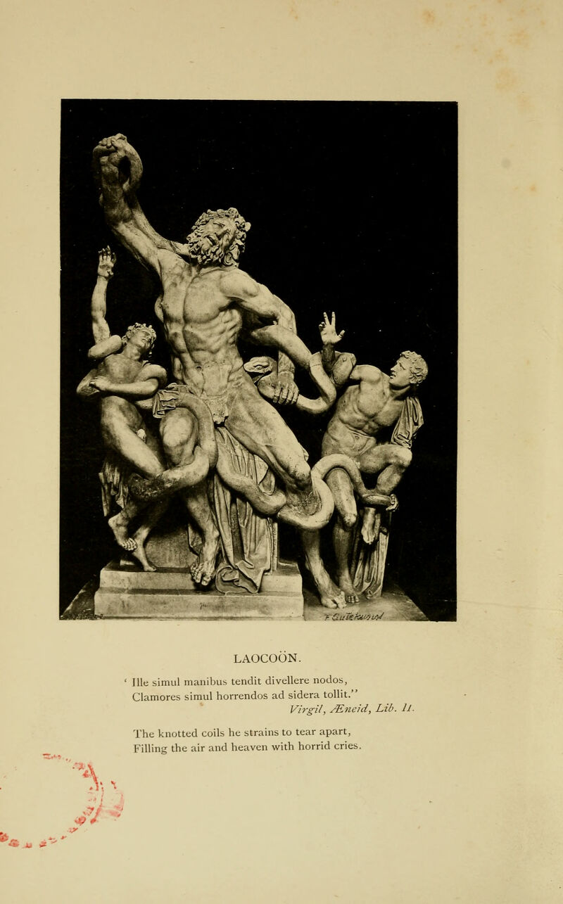 LAOCOON. lUe simul maiiibus tendit divellerc nodos, Clamores simul horrendos ad sidera tollit. Virgil, ALneid, Lib. iJ. The knotted coils he strains to tear apart, Filling the air and heaven with horrid cries. ^J.'^ M 9-