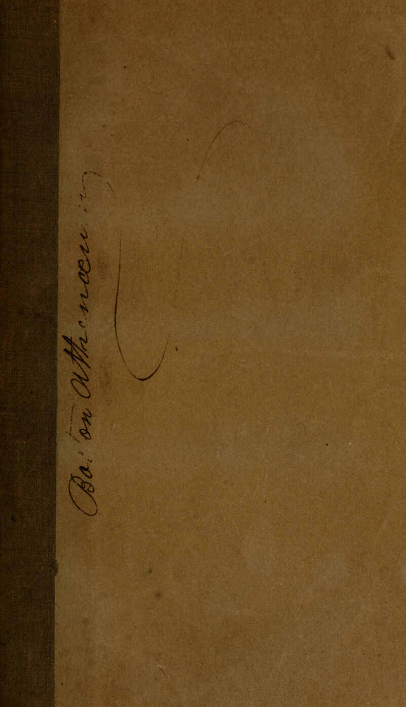 U^ •■?.■<':'.. ^ \ ^y % N^