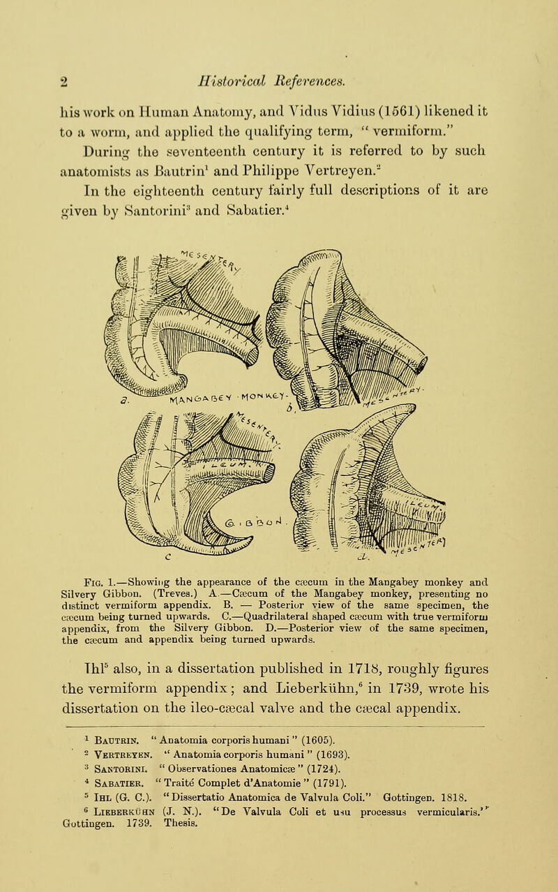 2 Historical References. his work on Human Anatomy, and Vidus Vidius (1661) likened it to a worm, and applied the qualifying term,  vermiform. During the seventeenth century it is referred to by such anatomists as Bautrin1 and Philippe Vertreyen. In the eighteenth century fairly full descriptions of it are given by Santorinr' and Sabatier.4 Fig. 1.—Showing the appearance of the ctecum in the Mangabey monkey and Silvery Gibbon. (Treves.) A.—Ctecum of the Mangabey monkey, presenting no distinct vermiform appendix. B. — Posterior view of the same specimen, the crecum being turned upwards. C.—Quadrilateral shaped crecum with true vermiform appendix, from the Silvery Gibbon. D.—Posterior view of the same specimen, the caecum and appendix being turned upwards. Thl5 also, in a dissertation published in 1718, roughly figures the vermiform appendix; and Lieberkiihn,6 in 1739, wrote his dissertation on the ileo-crecal valve and the csecal appendix. 1 Bautrin. Anatomia corporis humani  (1605). 2 Vertreyen.  Anatomia corporis humani  (1693).  Ouservationes Anatomicse  (1724). ' Traite Complet d'Anatomie  (1791). 6 Lieberkuhn (J. N.). De Valvula Coli et usu processus vermicularis.'r Gottingen. 1739. Thesis. 3 Santorini. 4 Sabatier.