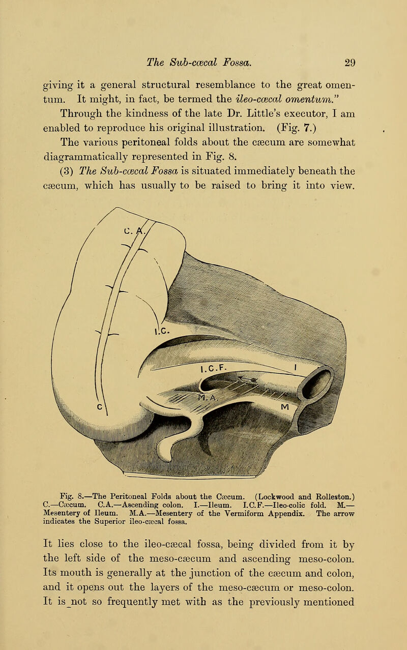 giving it a general structural resemblance to the great omen- tum. It might, in fact, be termed the ileo-ccecal omentum. Through the kindness of the late Dr. Little's executor, I am enabled to reproduce his original illustration. (Fig. 7.) The various peritoneal folds about the csecum are somewhat diagrammatically represented in Fig. 8. (3) The Sub-ccecal Fossa is situated immediately beneath the caecum, which has usually to be raised to bring it into view. Fig. 8.—The Peritoneal Folds about the Caecum. (Lockwood and Rolleston.) C.—Ctecum. C.A.—Ascending colon. I.—Ileum. I.C.F.—Ileo-colic fold. M.— Mesentery of Ileum. M.A.—Mesentery of the Vermiform Appendix. The arrow indicates the Superior ileo-ctecal fossa. It lies close to the ileo-caecal fossa, being divided from it by the left side of the meso-caecum and ascending meso-colon. Its mouth is generally at the junction of the caecum and colon, and it opens out the layers of the meso-caecum or meso-colon. It isjaot so frequently met with as the previously mentioned