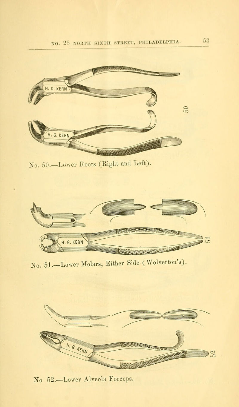 No. 50.—Lower Roots (Right and Left). N 0. 51._Lower Molars, Either Side (Wolverton's). N0 52.—Lower Alveola Forceps.