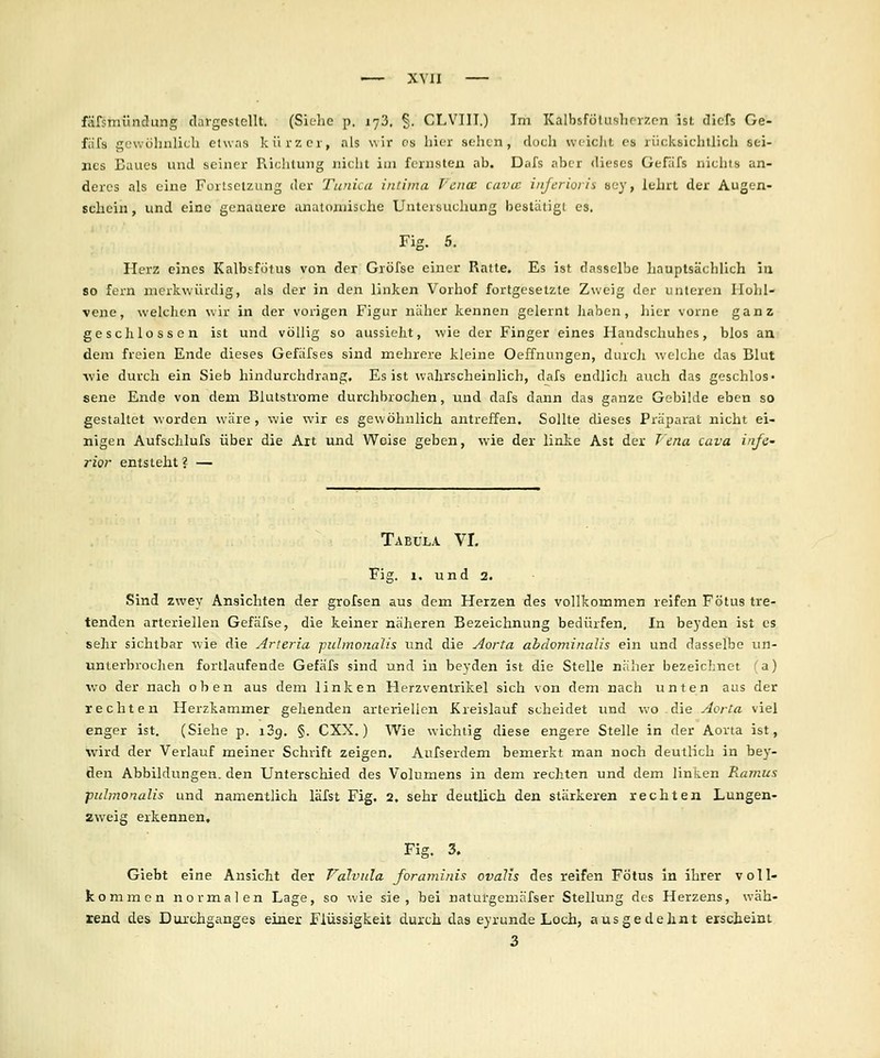 fäfstnüncluns; dargestellt. (Siehe p. 173, §. CLVIII.) Im Kalbsfütusliorzon ist dicrs Ge- füfs gewöhnlich etwas kürzer, als wir os hier sehen, doeh wcicJit es rücksichtlich sei- nes Baues und seiner Piichlung nicht im fernsten nb. Dafs aber dieses Gefdfs nichts an- deres als eine Fortsetzung der Tunica intima Feilte cuvcc injerioiis sey, lehrt der Augen- schein , und eine genauere anatomische Untersuchung bestätigt es. Fig. 5. Herz eines Kalbsfötus von der Gröfse einer Ratte. Es ist dasselbe hauptsächlich ia 80 fern merkwürdig, als der in den linken Vorhof fortgesetzte Zweig der unteren Ilohl- vene, welchen wir in der vorigen Figur näher kennen gelernt jiaben, hier vorne ganz geschlossen ist und völlig so aussieht, wie der Finger eines Handschuhes, blos au dem freien Ende dieses Gefäfses sind mehrere kleine Oeffnungen, durch welche das Blut ivie durch ein Sieb hindurchdrang. Es ist wahrscheinlich, dafs endlich auch das geschlos» sene Ende von dem Blutstrome durchbrochen, und dafs dann das ganze Gebilde eben so gestaltet worden wäre , wie wir es gewöhnlich antreffen. Sollte dieses Präparat nicht ei- nigen Aufschlufs über die Alt und Weise geben, wie der linte Ast der Tena cava infe- rior entsteht? — Tabula VI. Fig. 1. und 2. Sind zwey Ansichten der grofsen aus dem Herzen des vollkommen reifen Fötus tre- tenden arteriellen Gefäfse, die keiner näheren Bezeichnung bedürfen. In beyden ist es sehr sichtbar wie die Arteria pidmonalis und die Aorta abdominalis ein und dasselbe un- unterbrochen fortlaufende Gefäfs sind und in beyden ist die Stelle näher bezeichnet (a) wo der nach oben aus dem linken Herzvenlrikel sich von dem nach unten aus der rechten Herzkammer gehenden arteriellen Kreislauf scheidet und wo die Aorta viel enger ist. (Siehe p. i3g. §. CXX.) Wie wichtig diese engere Stelle in der Aorta ist, wird der Verlauf meiner Schrift zeigen. Aufserdem bemerkt man noch deutlich in bey- den Abbildungen, den Unterschied des Volumens in dem rechten und dem linken Ramus pidmonalis und namentlich läfst Fig. 2, sehr deutlich den stärkeren rechten Lungen- zweig erkennen. Fig. 3. Giebt eine Ansicht der Valvnla foraminis ovalis des reifen Fötus in ihrer voll- kommen normalen Lage, so wie sie, bei naturgemäfser Stellung des Herzens, wäh- rend des Durchganges einer Flüssigkeit durch das eyrunde Loch, ausgedehnt erscheint 3