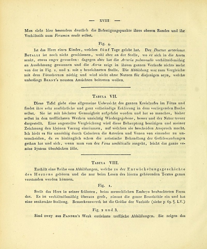 Man sieht hier besonders deutlich die Befestigungspunkte ihres oberen Randes und ihr Verhältnifs zum Foramen, ovale selbst. Fig. 4. Ist das Herz eines Kindes, welches fünf Tage gelebt hat. Der Ductus arteriosus BoTALLi ist noch nicht geschlossen, wohl aber an der Stelle, wo er sich in die Aorta senkt, etwas enger geworden: dagegen aber hat die Arteria pulmonalis verhältnifsmäfsig an Ausdehnung gewonnen und die Aorta zeigt in ihrem ganzen Verlaufe nichts mehr von der in Fig. i. und 2. mit a bezeichneten Stelle, Die Abbildung war zum Vergleiche mit dem Fötusherzen nöthig und wird nicht ohne Nutzen für diejenigen seyn, welche unbedingt Bernt's neusten Ansichten beitreten wollen. Tabula VIL Diese Tafel giebt eine allgemeine Uebersicht des ganzen Kreislaufes im Fötus und findet ihre sehr ausführliche und ganz vollständige Erklärung in dem vorliegenden Buche selbst, Sie ist mit höchster Genauigkeit aufgefafst worden und hat so manches, bisher selbst in den trefflichsten Werken unrichtig Wiedergegebene, besser und der Natur treuer dargestellt. Eine angestellte \'ergleichung wird diese Behauptung bestätigen und meiner Zeichnung den kleinen Vorzug einräumen, auf welchen sie bescheiden Anspruch macht. Ich hielt es für unnöthig durch Coloriren die Arterien und Venen von einander zu un- terscheiden, da es hinlänglich schon die artistische Behandlung der Gefäfswandungen gethan hat und sich, wenn man von der Vena umbilicalis ausgeht, leicht das ganze ve- nöse System überblicken läfst. Tabula VIII. Enthält eine Reihe von Abbildungen, welche zu der En t wi ck el u n g s g e s chich t e des Herzens gehören und die nur beim Lesen des hierzu gehörenden Textes genau verstanden werden können, Fig. 1. Stellt das Herz in seiner frühsten , beim menschlichen Embryo beobachteten Form dar. Es ist verhältnifsmäfsig überaus grofs, nimint die ganze Brusthöhle ein und hat eine senkrechte Stellung. Bemerkenswert]! ist die Gröfse der Vorhöfe (siehe p. 69. §. LV.) Fig. 2 und 3. Sind zwey aus Pander's Werk entlehnte treffliche Abbildungen. Sie zeigen das