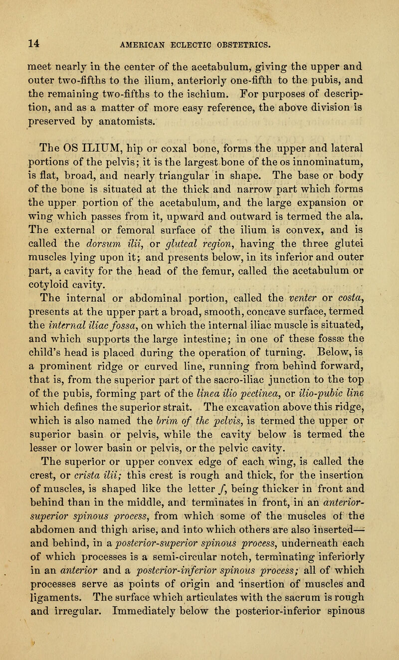 meet nearly in the center of the acetabulum, giving the upper and outer two-fifths to the ilium, anteriorly one-fifth to the pubis, and the remaining two-fifths to the ischium. For purposes of descrip- tion, and as a matter of more easy reference, the above division is preserved by anatomists. The OS ILIUM, hip or coxal bone, forms the upper and lateral portions of the pelvis; it is the largest bone of the os innominatum, is flat, broad, and nearly triangular in shape. The base or body of the bone is situated at the thick and narrow part which forms the upper portion of the acetabulum, and the large expansion or wing which passes from it, upward and outward is termed the ala. The external or femoral surface of the ilium is convex, and is called the dorsum ilii, or gluteal region, having the three glutei muscles lying upon itj and presents below, in its inferior and outer part, a cavity for the head of the femur, called the acetabulum or cotyloid cavity. The internal or abdominal portion, called the venter or costa, presents at the upper part a broad, smooth, concave surface, termed the internal iliac fossa, on which the internal iliac muscle is situated, and which supports the large intestine; in one of these fossae the child's head is placed during the operation of turning. Below, is a prominent ridge or curved line, running from behind forward, that is, from the superior part of the sacro-iliac junction to the top of the pubis, forming part of the linea ilio pectinea, or ilio-'pubic line which defines the superior strait. The excavation above this ridge, which is also named the brim of the pelvis, is termed the upper or superior basin or pelvis, while the cavity below is termed the lesser or lower basin or pelvis, or the pelvic cavity. The superior or upper convex edge of each wing, is called the crest, or crista ilii; this crest is rough and thick, for the insertion of muscles, is shaped like the letter /, being thicker in front and behind than in the middle, and terminates in front, in an anterior- superior spinous process, from which some of the muscles of the abdomen and thigh arise, and into which others are also inserted—■' and behind, in a posterior-superior spinous process, underneath each of which processes is a semi-circular notch, terminating inferiorly in an anterior and a posterior-inferior spinous process; all of which processes serve as points of origin and insertion of muscles and ligaments. The surface which articulates with the sacrum is rough and irregular. Immediately below the posterior-inferior spinous