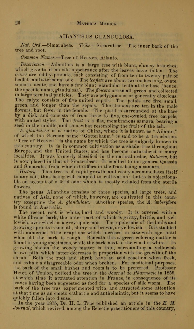 AILANTHUS GLANDULOSA. Nat. Or^.—Simarubese. Tri7>e.—Simarubese. The inner bark of the tree and root. Common Names.—Tree of Heaven, Ailanto. Description.—Ailanthus is a large tree with blunt, clumsy branches, which give to it an odd appearance after the leaves have fallen. The leaves are oddly-pinnate, each consisting of from ten to twenty pair of leaflets and a terminal one. The leaflets are about two inches long, ovate, smooth, acute, and have a few blunt glandular teeth at the base (hence] the specific name,glandulosa). Tha flowers are small, green, and collected in large terminal panicles. They are polygamous, or generally dioecious. The calyx consists of five united sepals. The petals are five, small, green, and longer than the sepals. The stamens are ten in the male flowers, but fewer in the female. The pistil is surrounded at the base by a disk, and consists of from three to five, one-ovuled, free carpels, with united styles. The fruit is a flat, membranous samara, bearing a seed in the middle, and somewhat resembling the fruit of the ash. A. glandulosa is a native of China, where it is known as Ailanto, of which the German name  Gotterbaum  is said to be a translation. Tree of Heaven  is the name by which the tree is vulgarly known in this country. It is in common cultivation as a shade tree throughout Europe, and the United States, and has become naturalized in many localities. It was formerly classified in the natural order, Riitaceoi^ but is now placed in that of Simarubese. It is allied to the genera, Quassia and Simaruba. from which it differs in the fruit being a samara. History.—This tree is of rapid growth, and easily accommodates itself to any soil, thus being well adapted to cultivation ; but is is objectiona- ble on account of a fetid odor which is mostl}^ exhaled from the sterile flowers. The genus Ailanthus consists of three species, all large trees, and natives of Asia, none of which, however, are cultivated in this coun- try excepting the A. glandulosa. Another species, the A. imheriflora is found in Australia. The recent root is white, hard, and w^oody. It is covered with a white fibrous bark, the outer part of which is gritty, brittle, and yel- lowish, over which is a grey epidermis. The epidermis of the limbs and growing sprouts is smooth, shiny and brown, or yellowish. It is studded with numerous little eruptions which increase in size with age, until when old, the bark is rough. Beneath this a green coloring matter is found in young specimens, while the bark next to the wood is white. In growing shoots the woody matter is thin, surrounding a yellowish brown pith, which latter decreases in proportion with the growth of the shrub. Both the root and shrub have an acid reaction when fresh, and exhale a disagreeable odor when broken. For medicinal purposes, the bark of the small bushes and roots is to be preferred. Professor Hetet, of Toulon, noticed the tree in the Journal de Pharmacie in 1859, at which time it attracted attention in France, in consequence of its leaves having been suggested as food for a species of silk w*orm. The bark of the tree was experimented with, and attracted some attention at that time as an emeto cathartic and anthelmintic, but it seems to have quickly fallen into disuse. In the year 1875, Dr. H. L. True published an article in the E. M. Journal^ which revived, among the Eclectic practitioners of this country,