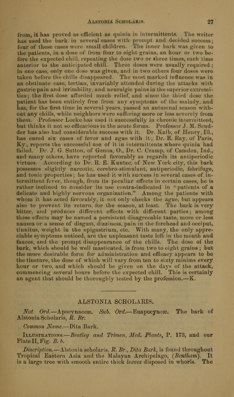 from, it has proved as efficient as quinia in intermittents. Tlie writer has used the bark in several cases with prompt and decided success; four of these cases were snuill children. The inner bark was given to the patients, in a dose of from four to eight grains, an hour or two be- fore the expected chill, repeating the dose two or Ihree times, each time anterior to the anticipated chill. Three doses were usually required ; in one case, only one dose was given, and in two others four doses were taken before the chills disappeared. The most marked influence was in an obstinate case, tertian, invariably attended during the attacks with gastric pain and irritabilit}', and neuralgic pains in the superior extremi- ties ; the first dose afforded much relief, and since the third dose the patient has been entirelj^ free from any symptoms of the malady, and has, for the first time in several years, passed an autumnal season with- out any chills, while neighbors were suffering more or less severely from them. Professor Locke has used it successfully in chronic intermittent, but thinks it not so efficacious in the acute forms. Professor J. M. Scud- der has also had considerable success with it. Dr. Kalb, of Henry, 111., has cured six cases of fever and ague with it; Dr. E. Eay, of Paris, Ky., reports the successful use of it in intermittents where quinia had failed. Dr. J. G. Sutton, of Genoa, O., Dr. 0. Cramp, of Camden, Ind., and many others, have reported favorably as regards its antiperiodic virtues. According to Dr. E. E. Kuntze, of New York city, this bark possesses slightly narcotic, cerebro-stimulant, antiperiodic, febrifuge, and tonic properties; he has used it with success in several cases of. in- termittent fever, though, from its peculiar effects in certain cases, he is rather inclined to consider its use contra-indicated in patients of a delicate and highly nervous organization. Among the patients with whom it has acted favorably, it not only checks the ague, but appears also to prevent its return, for the season, at least. The bark is very bitter, and jiroduces different effects with different parties; among these effects may be named a persistent disagreeable taste, more or less nausea or a sense of disgust, dizziness, pain in the forehead and occiput, tinnitus, weight in the epigastrium, etc. With many, the only appre- ciable symptoms noticed, are the unpleasant taste left in the mouth and fauces, and the prompt disappearance of the chills. The dose of the bark, which should be well masticated, is from two to eight grains ; but the more desirable form for administration and efficacy appears to bo the tincture, the dose of which will vary from ten to sixty minims every hour or two, and which should be given on the days of the attack, commencing several hours before the expected chill. This is certainly an agent that should be thoroughly tested by the profession.—K. ALSTONIA SCHOLAEIS. Nat. Ord.—Apocynacese. Suh. Ord.—Euapocynese. The bark of Alstonia Scholaris, R. Br, Common Name.—Dita Bark. Illustrations.—Bentley and Trimen, Med. Plants, P. 173, and our Plate II, Fig. B.h. Description.—Alstonia scholaris, R. Br., Dita Bark, is found throughout Tropical Eastern Asia and the Malayan Archipelago, (Bentham). It is a large tree with smooth entire thick leaves disposed in whorls. The