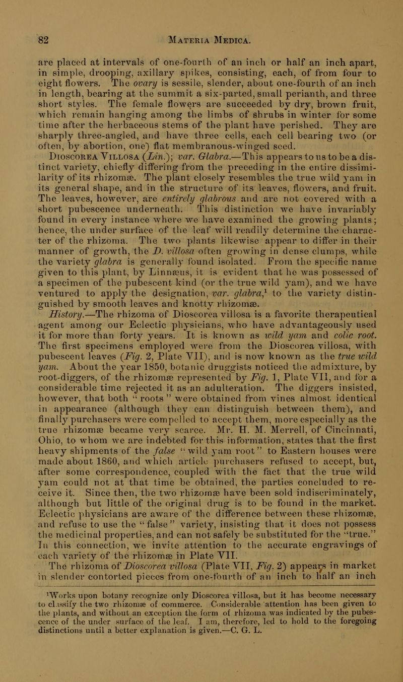 are placed at intervals of one-foiirlh of an inch or half an inch apart, in simple, drooping, axillary 8})ilves, consisting, each, of from four to eight flowers. The ovary is sessile, slender, about one-fourth of an inch in length, bearing at the summit a six-parted, small perianth, and three short styles. The female flowers are succeeded by dry, brown fruit, which remain hanging among the limbs of shrubs in winter for some time after the herbaceous stems of the plant have perished. They are sharply three-angled, and have three cells, each cell bearing two (or often, by abortion, one) flat membranous-winged seed. DioscoREA YiLLOSA (LiTi.); var. Glabra.— This appears to us to be a dis- tinct variety, chiefly difl'ering from the preceding in the entire dissimi- larity of its rhizomse. The plant closely resembles the true wild j'am in its general shape, and in the structure of its leaves, flowers, and fruit. The leaves, however, are entirely glabrous and are not covered with a short pubescence underneath. This distinction we have invariably found in every instance where we have examined the growing plants; hence, the under surface of the leaf will readily determine the charac- ter of the rhizoma. The two plants likewise appear to difl'er in their manner of growth, the D. villosa often growing in dense clumps, while the variety glabra is generally found isolated. From the specific name given to this plant, by Linna?us, it is evident that he was possessed of a specimen of the pubescent kind (or the true wild yam), and we have ventured to apply the designation, var. glabra,^ to the variety distin- guished by smooth leaves and knotty rhizomae. History.—The rhizoma of Dioscorea villosa is a favorite therapeutical agent among our Eclectic physicians, who have advantageously used it for more than fort}^ years. It is known as wild yam and colic root. The first specimens employed wei'o from the Dioscorea villosa, with pubescent leaves (Fig. 2, Plate VII), and is now known as the true wild yam. About the year 1850, botanic druggists noticed the admixture, by root-diggers, of the rhizomae represented by Fig. 1, Plate VII, and for a considerable time rejected it as an adulteration. The diggers insisted, however, that both '' roots  were obtained from vines almost identical in appearance (although they can distinguish between them), and finally'' purchasers were compelled to accept them, more especially as the true rhizoma? became very scarce. Mr. H. M. Merrell, of Cincinnati, Ohio, to whom we are indebted for this information, states that the first heavy shipments of the false ''wild yam root to Eastern houses were made about 1860, and which article j)urchasers refused to accept, but, after some correspondence, coupled with the fact that the true wild yam could not at that time be obtained, the parties concluded to re- ceive it. Since then, the two rhizomae have been sold indiscriminately, although but little of the original drug is to be found in the market. Eclectic ph^'sicians are aware of the difference between these rhizomae, and refuse to use the false variety, insisting that it does not possess the medicinal properties, and can not safely be substituted for the true. In this connection, we invite attention to the accurate engravings of each variety of the rhizomae in Plate Yll. The rhizoma of Dioscorea villosa (Plate YII, Fig. 2) appears in market in slender contorted pieces from one-fourth of an inch to half an inch ^Works upon botany recognize only Dioscorea villosa, but it has become necessary to cl.issiiy the two rhizomae of commerce. Considerable attention has been given to the plants, and without an exception the form of rhizoma was indicated by the pubes- cence of the under surface of the leaf. I am, therefore, led to hold to the foregoing distinctions until a better explanation is given.—C. G. L.